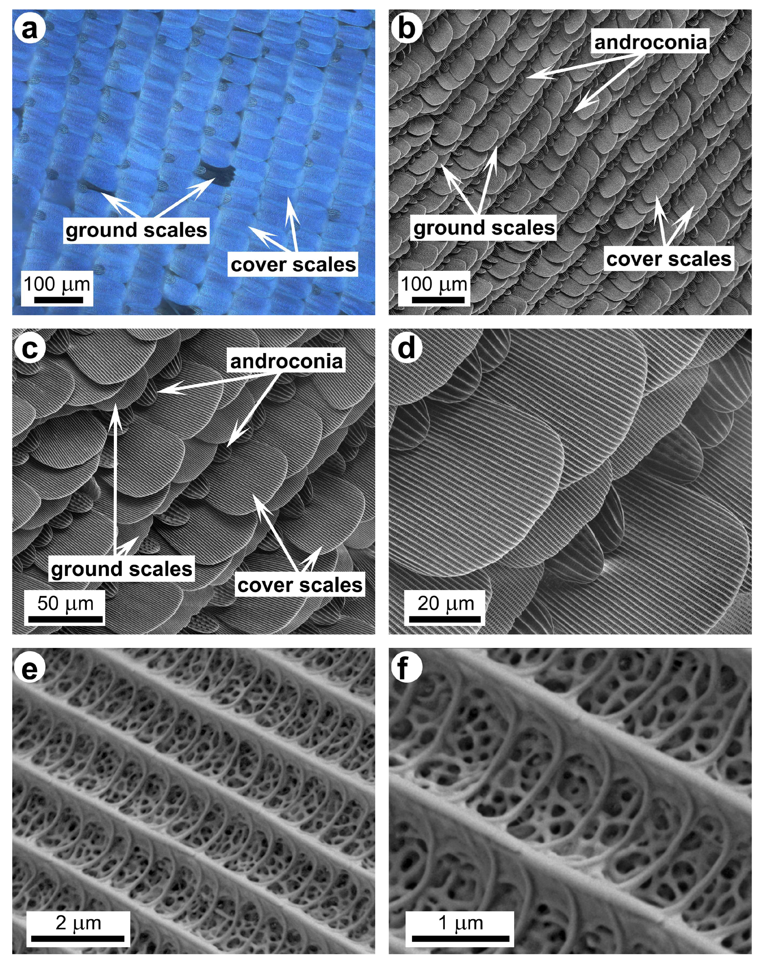 Materials 17 04575 g001 Materials 17 04575 g001