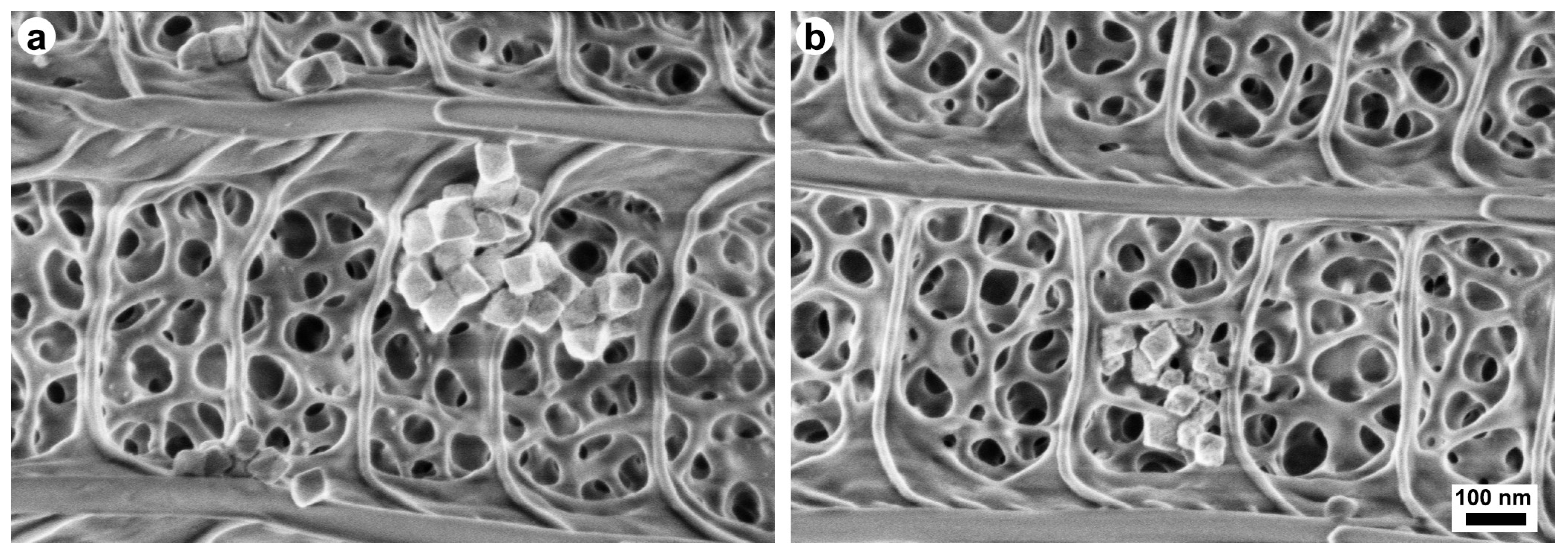 Materials 17 04575 g006 Materials 17 04575 g006