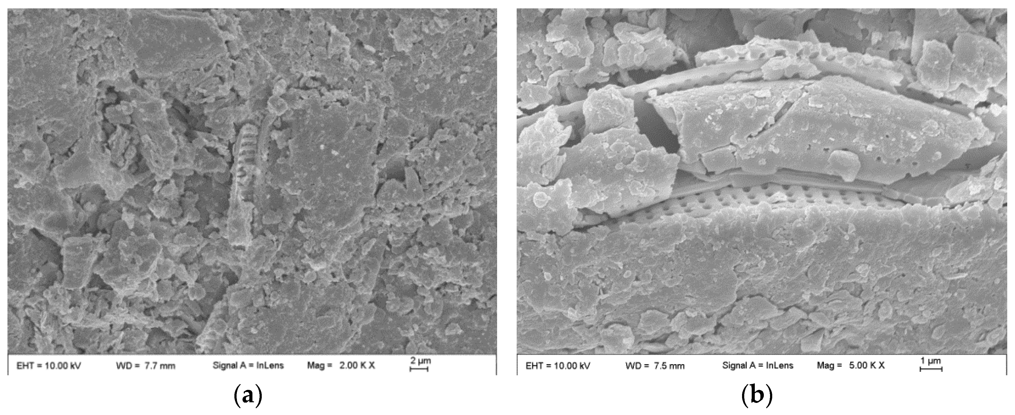 Materials 17 04600 g009a