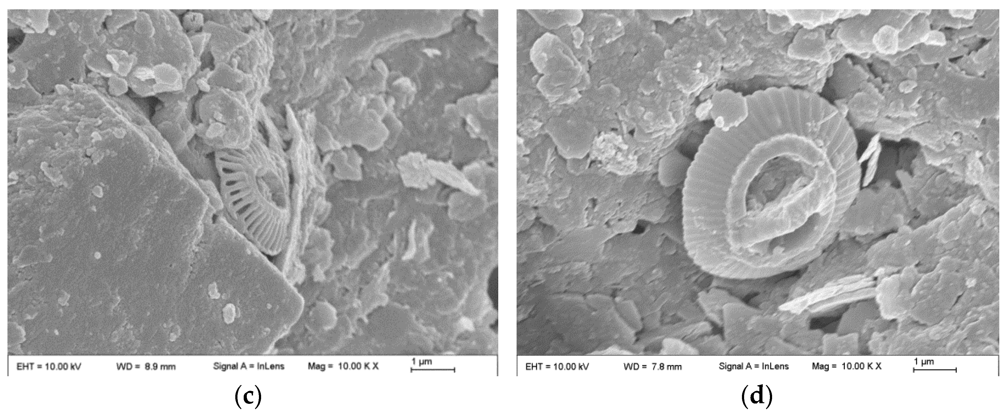 Materials 17 04600 g009b