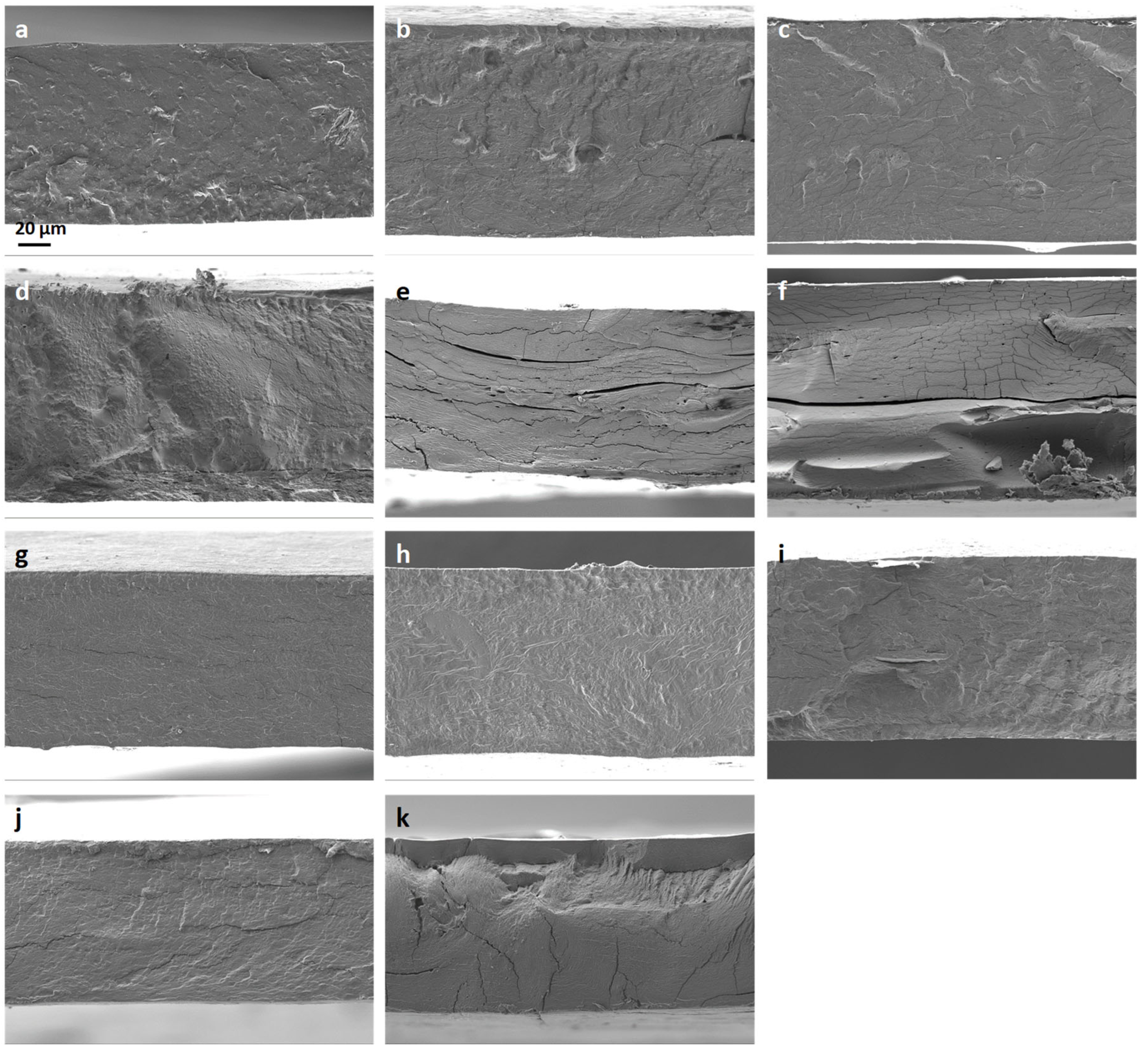 Materials 17 04602 g007