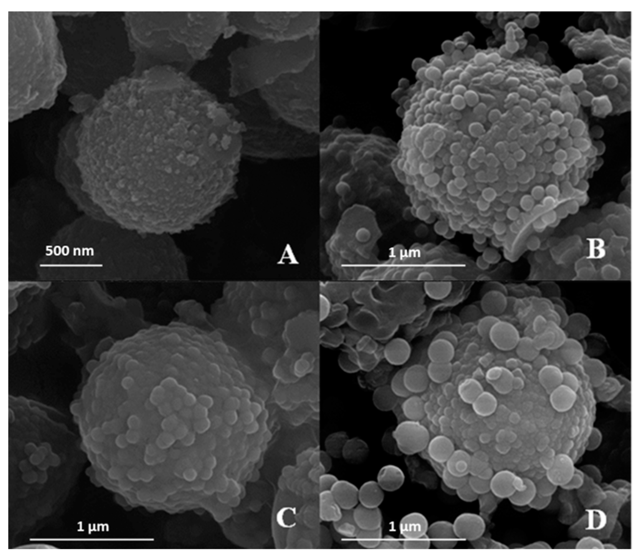 Materials 17 04621 g005 Materials 17 04621 g005
