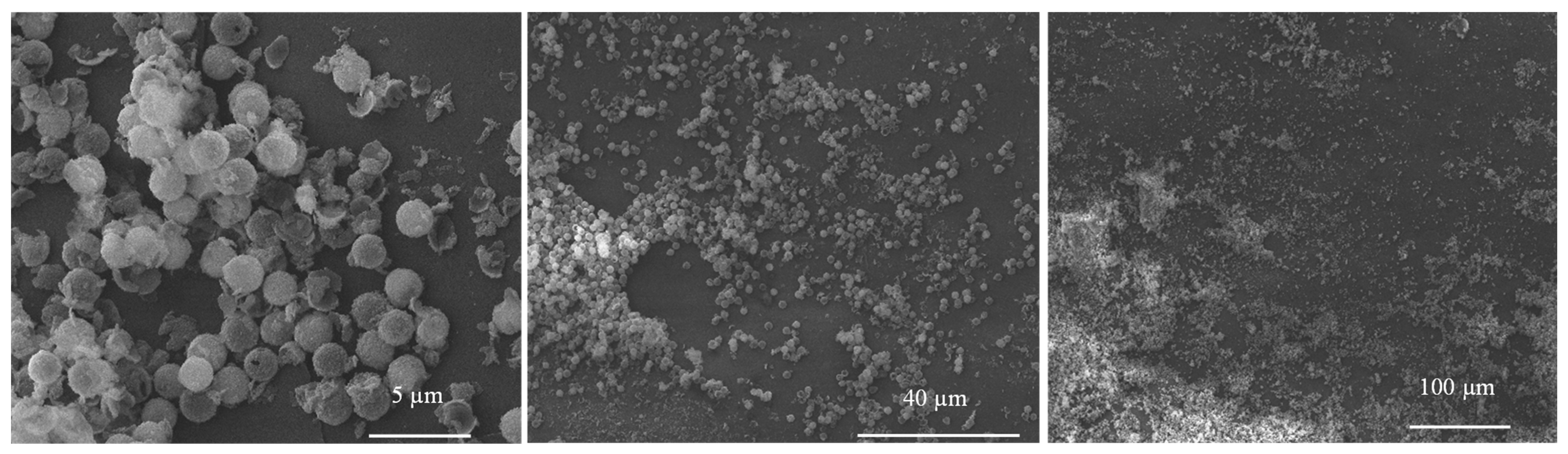 Materials 17 04621 g012 Materials 17 04621 g012