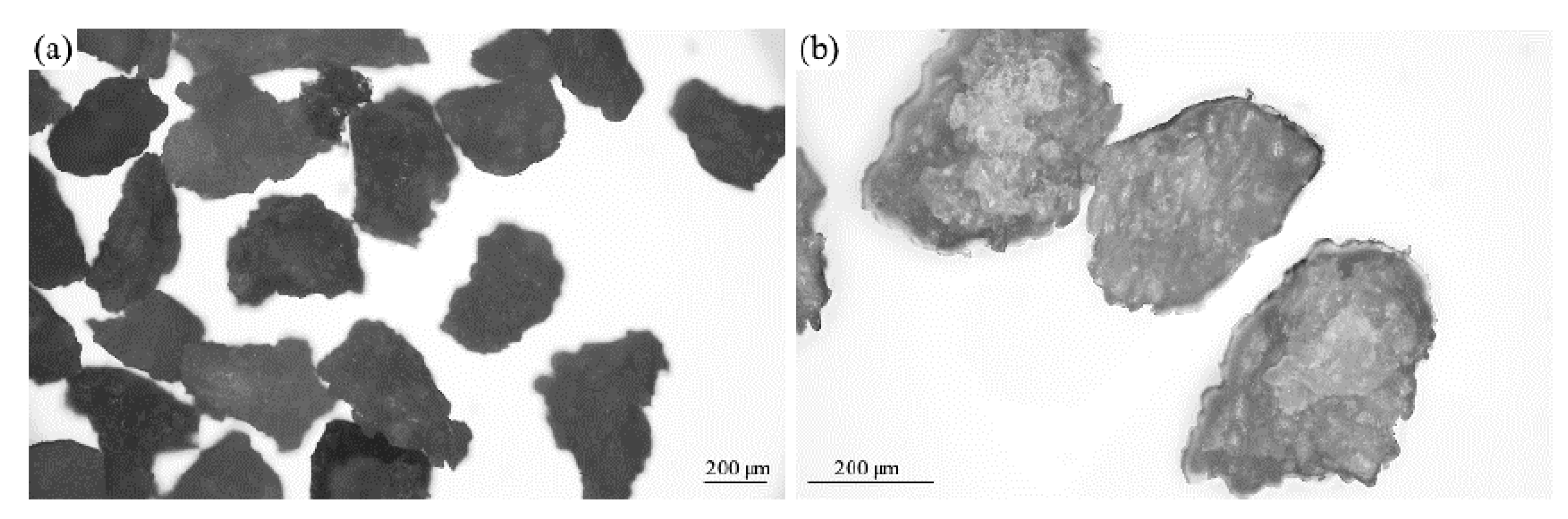 Materials 17 04629 g002