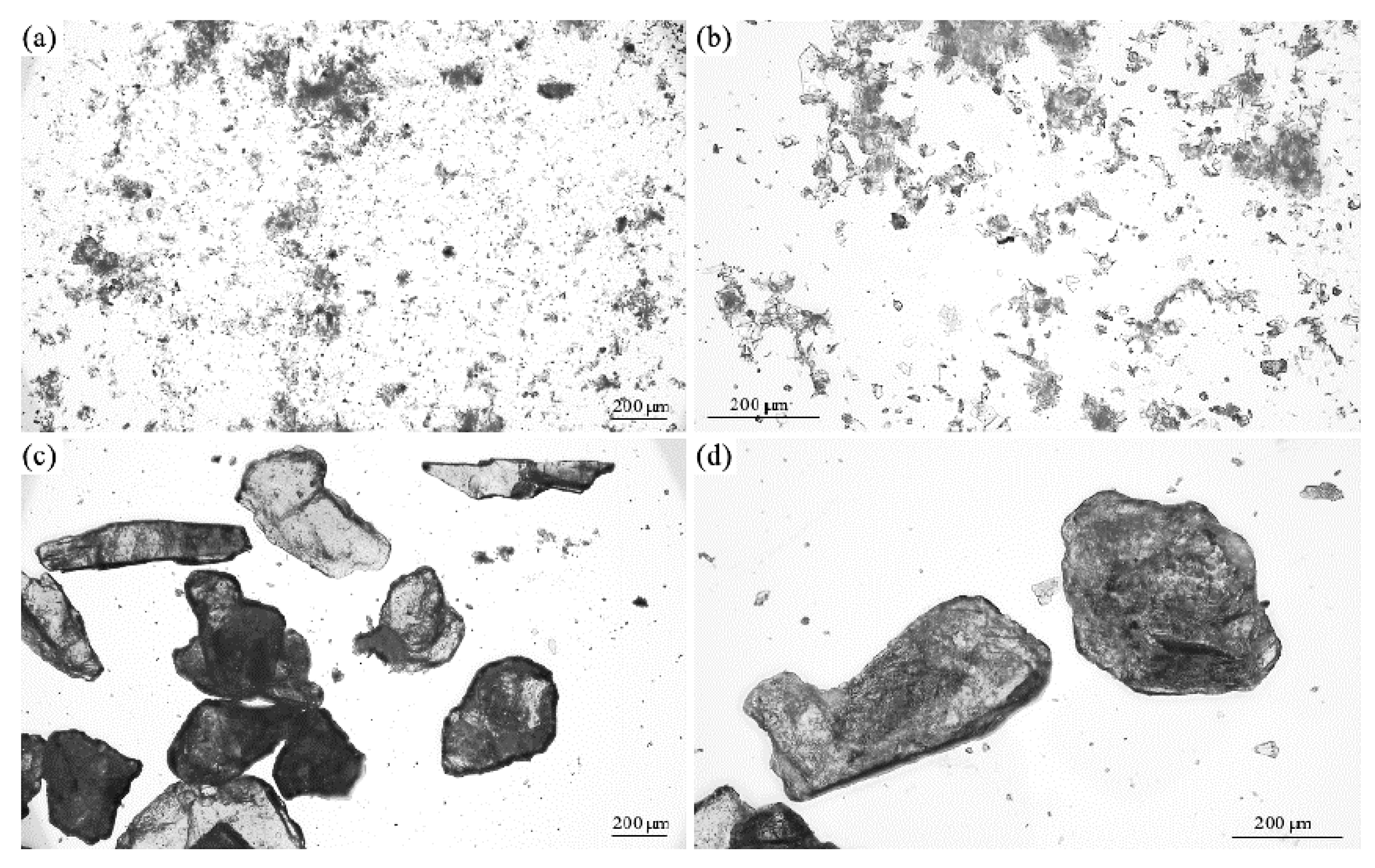 Materials 17 04629 g003