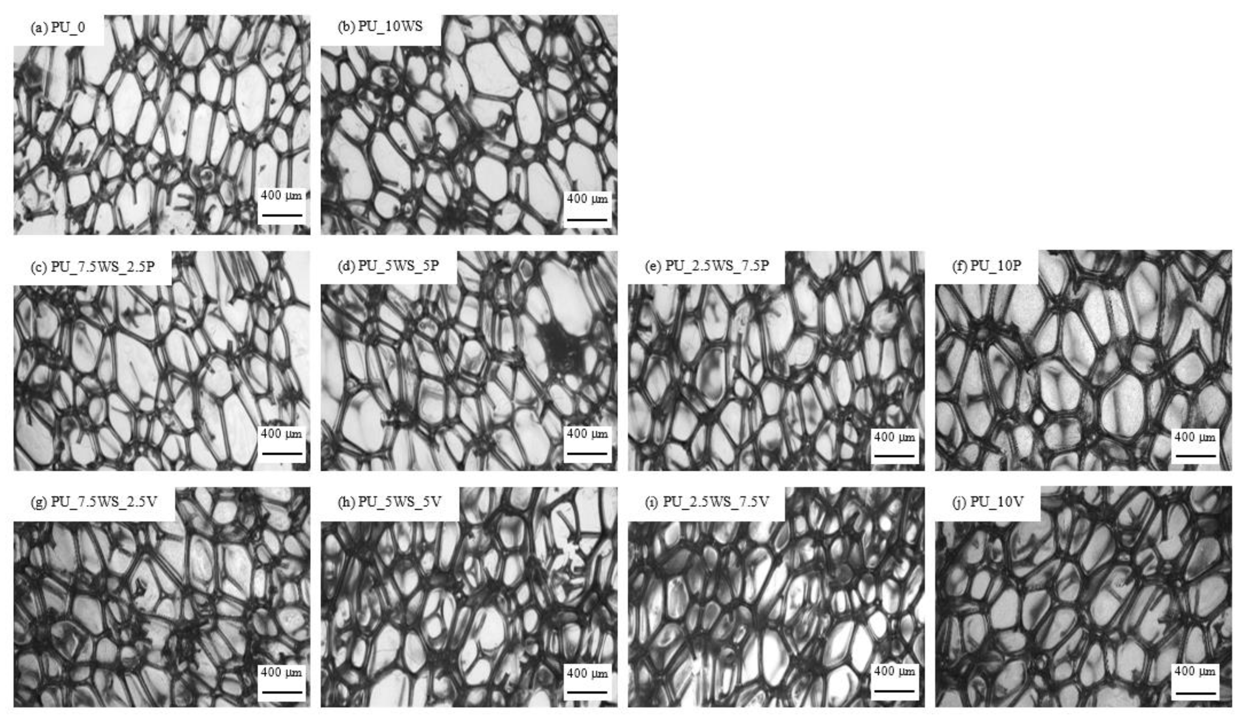 Materials 17 04629 g007