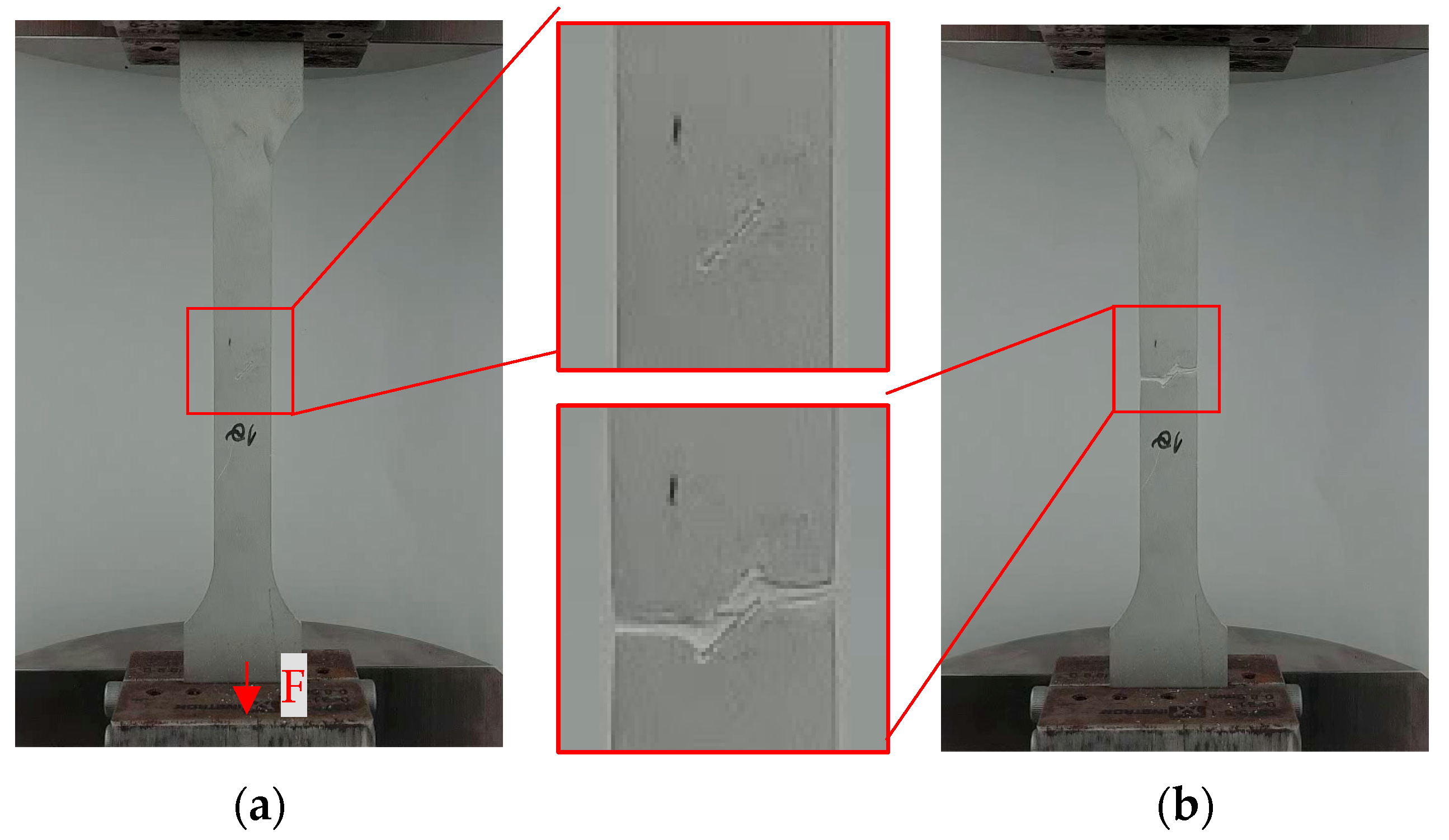 Materials 17 04639 g007