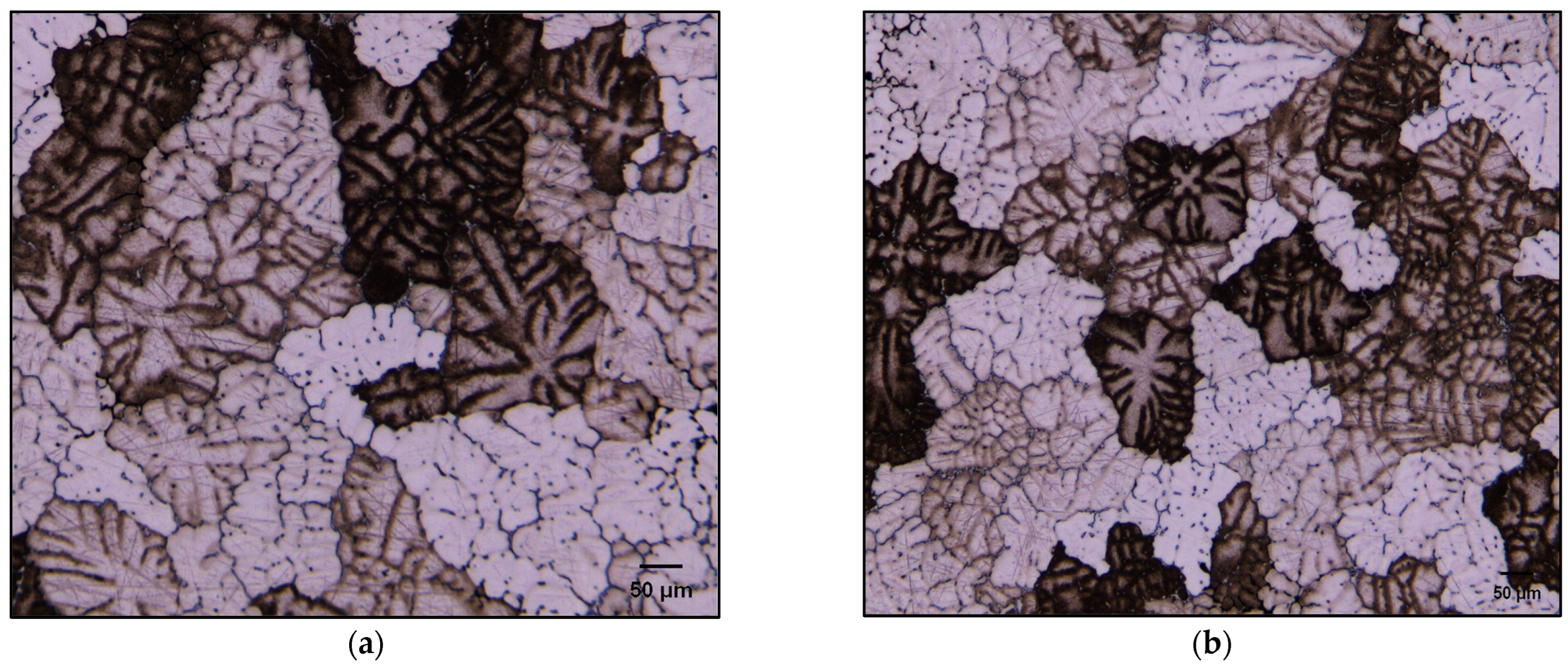 Materials 17 04676 g006