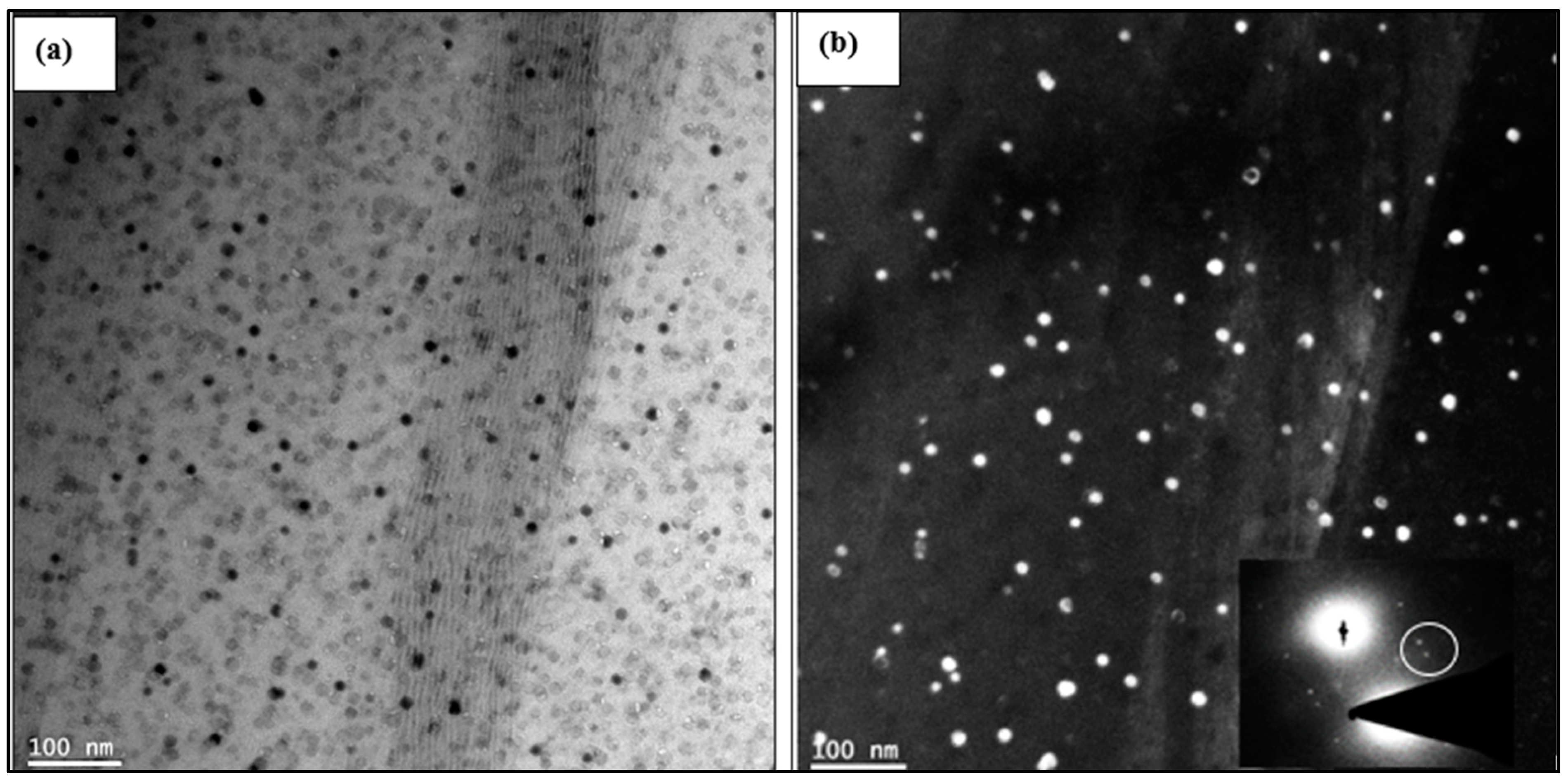 Materials 17 04676 g011