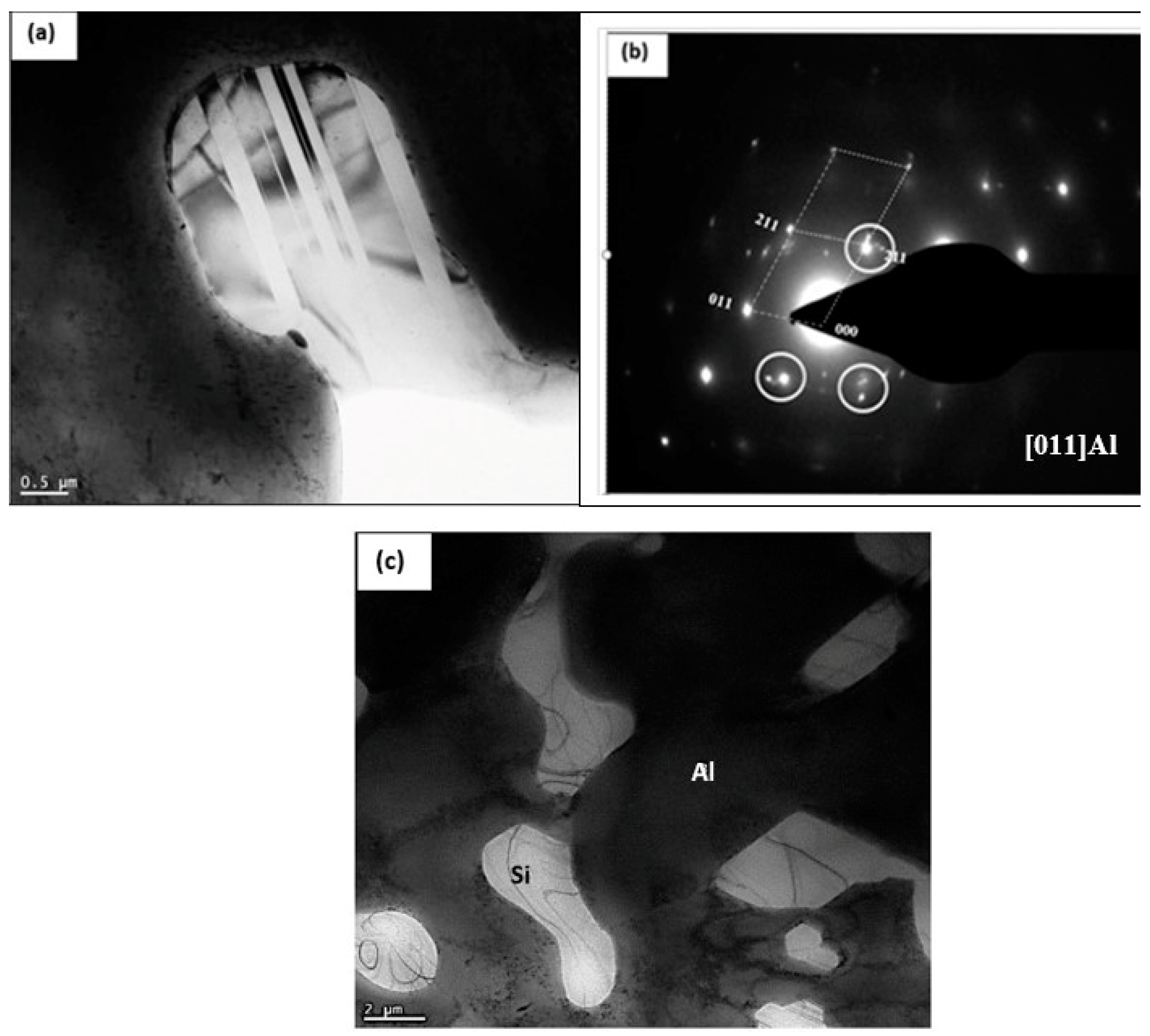 Materials 17 04676 g016