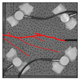 Materials 17 04684 i010