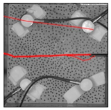 Materials 17 04684 i014