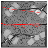 Materials 17 04684 i015