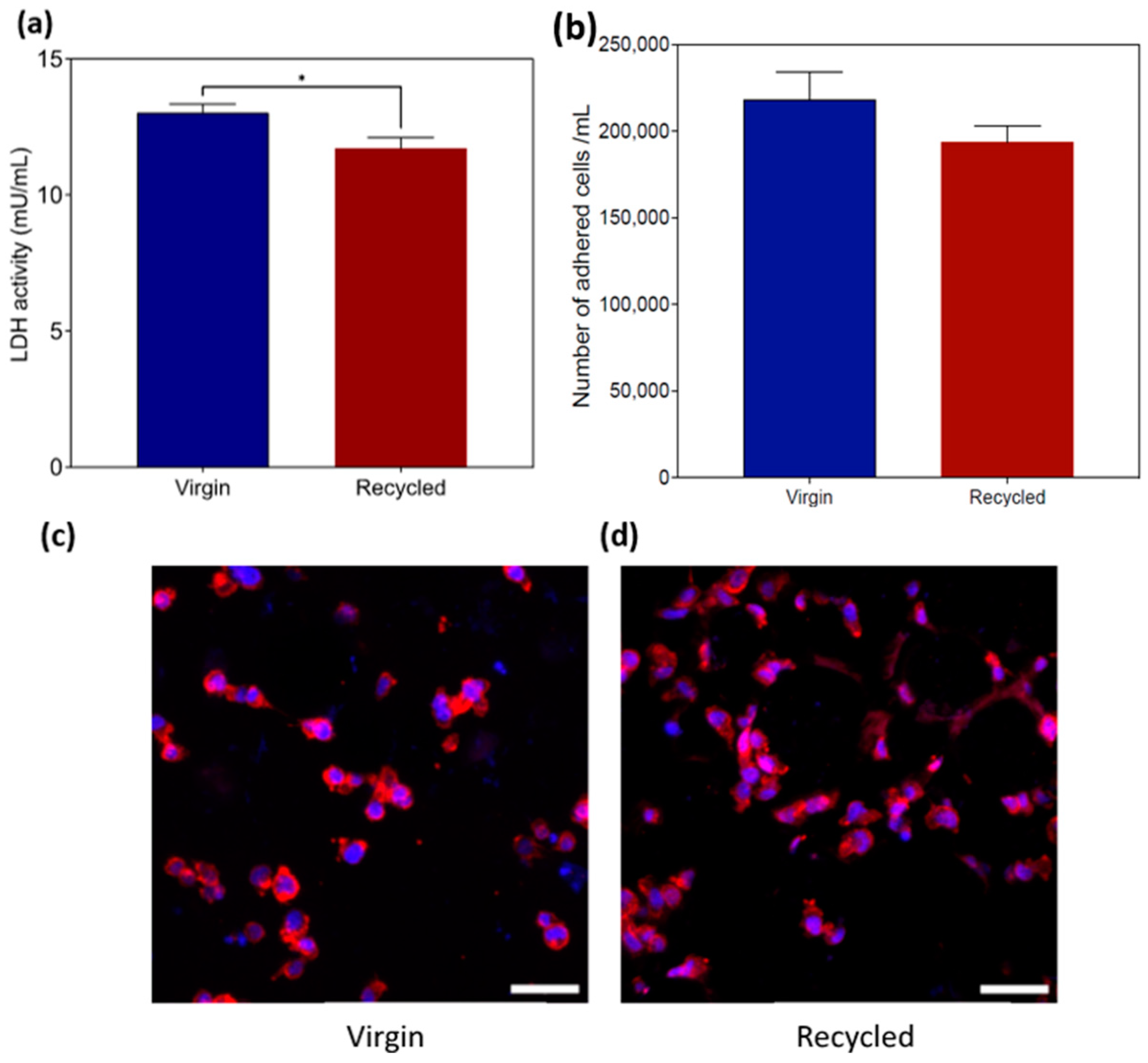Materials 17 04701 g005