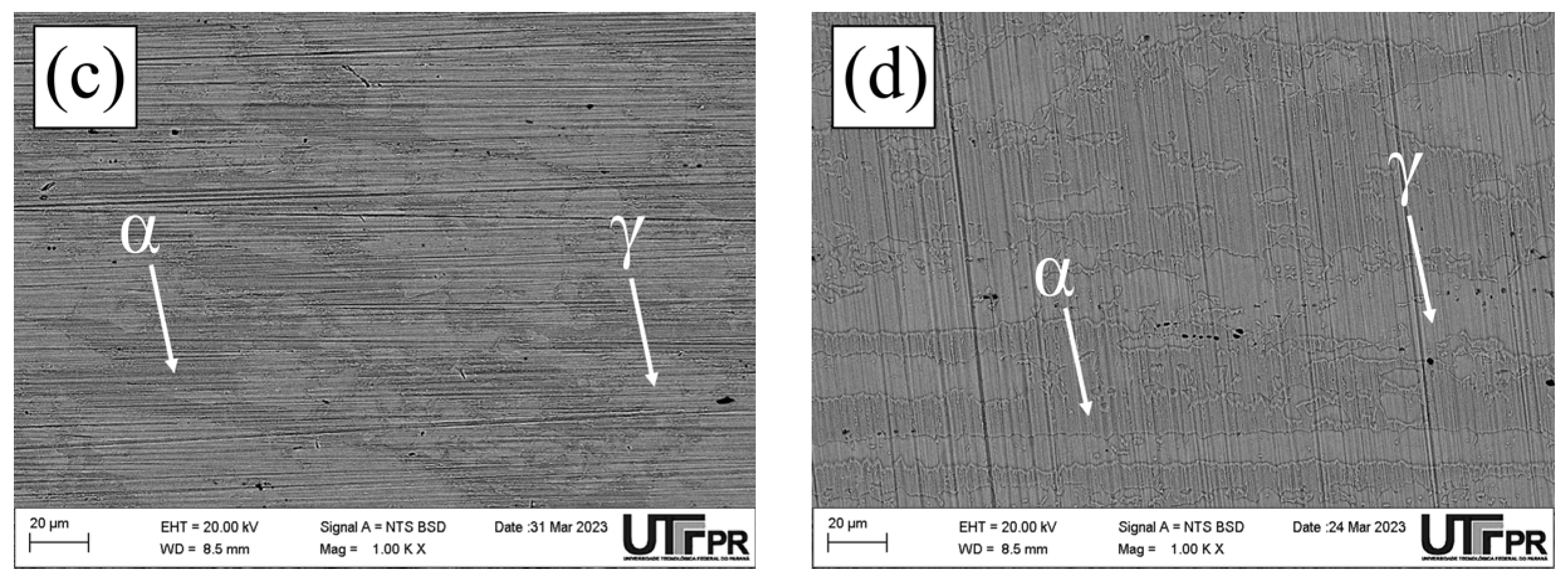 Influence of Heat Treatment Temperature on Microstructure, Hardness and ...