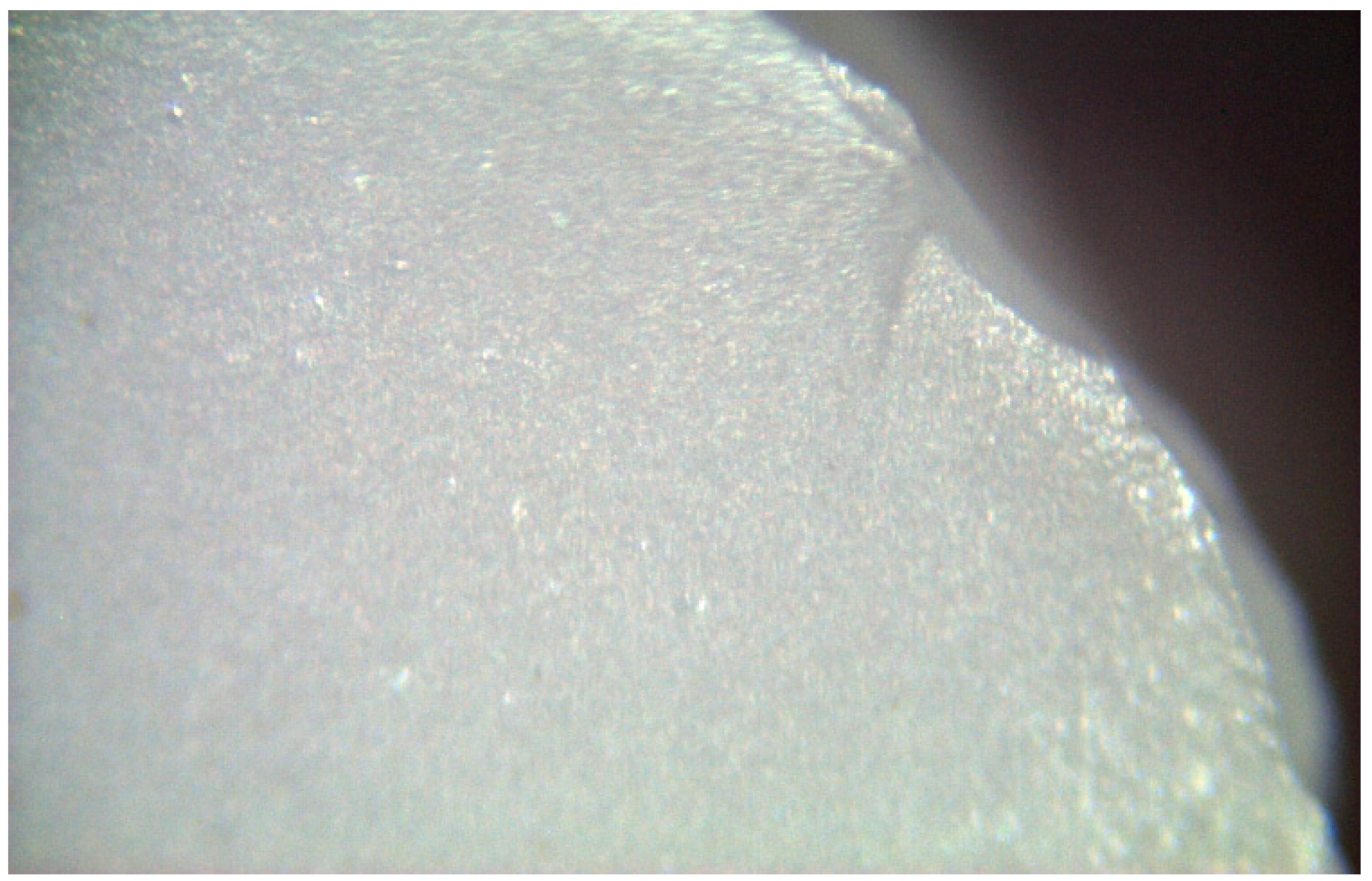 Materials 17 04719 g012