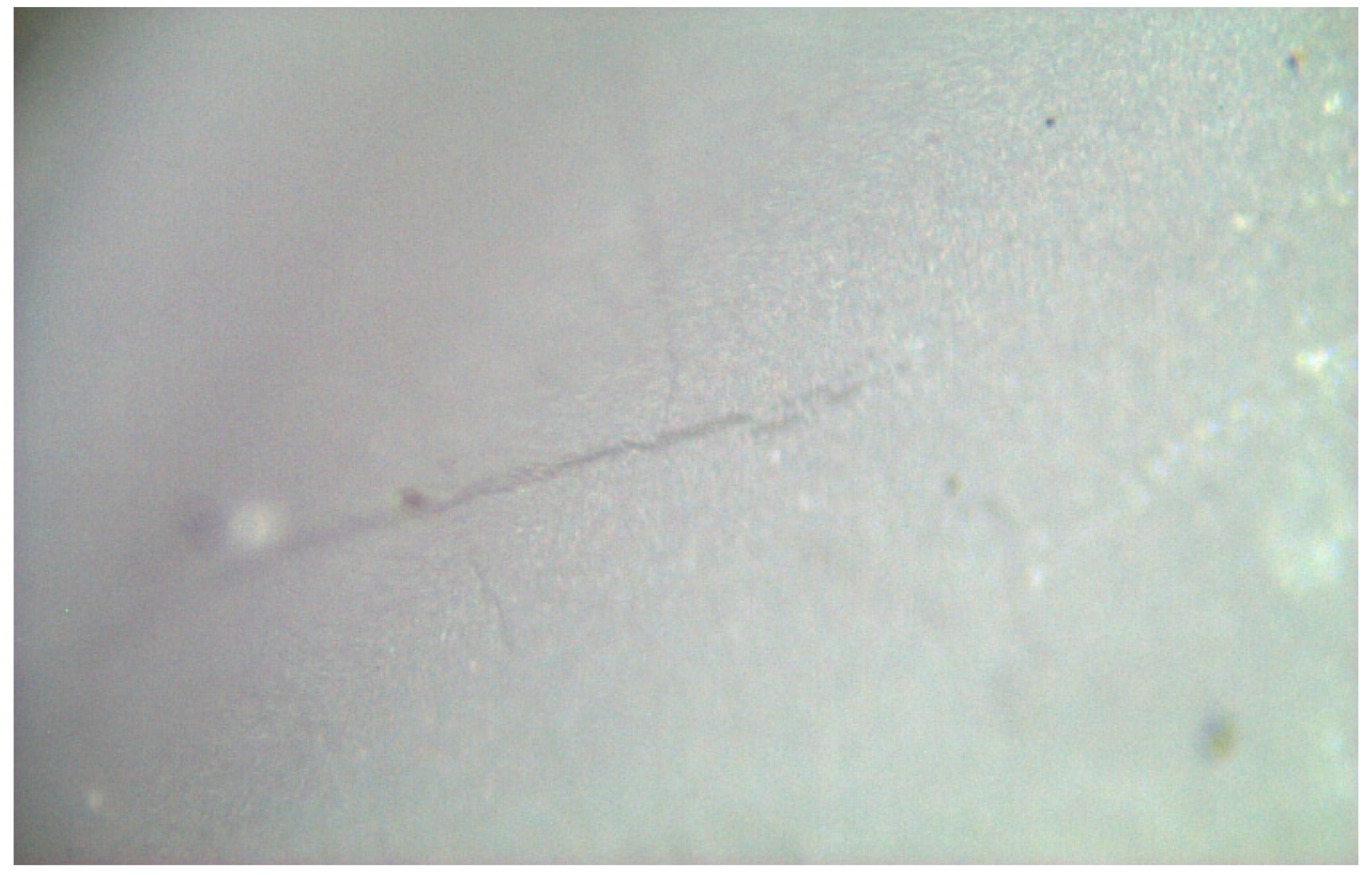 Materials 17 04719 g014