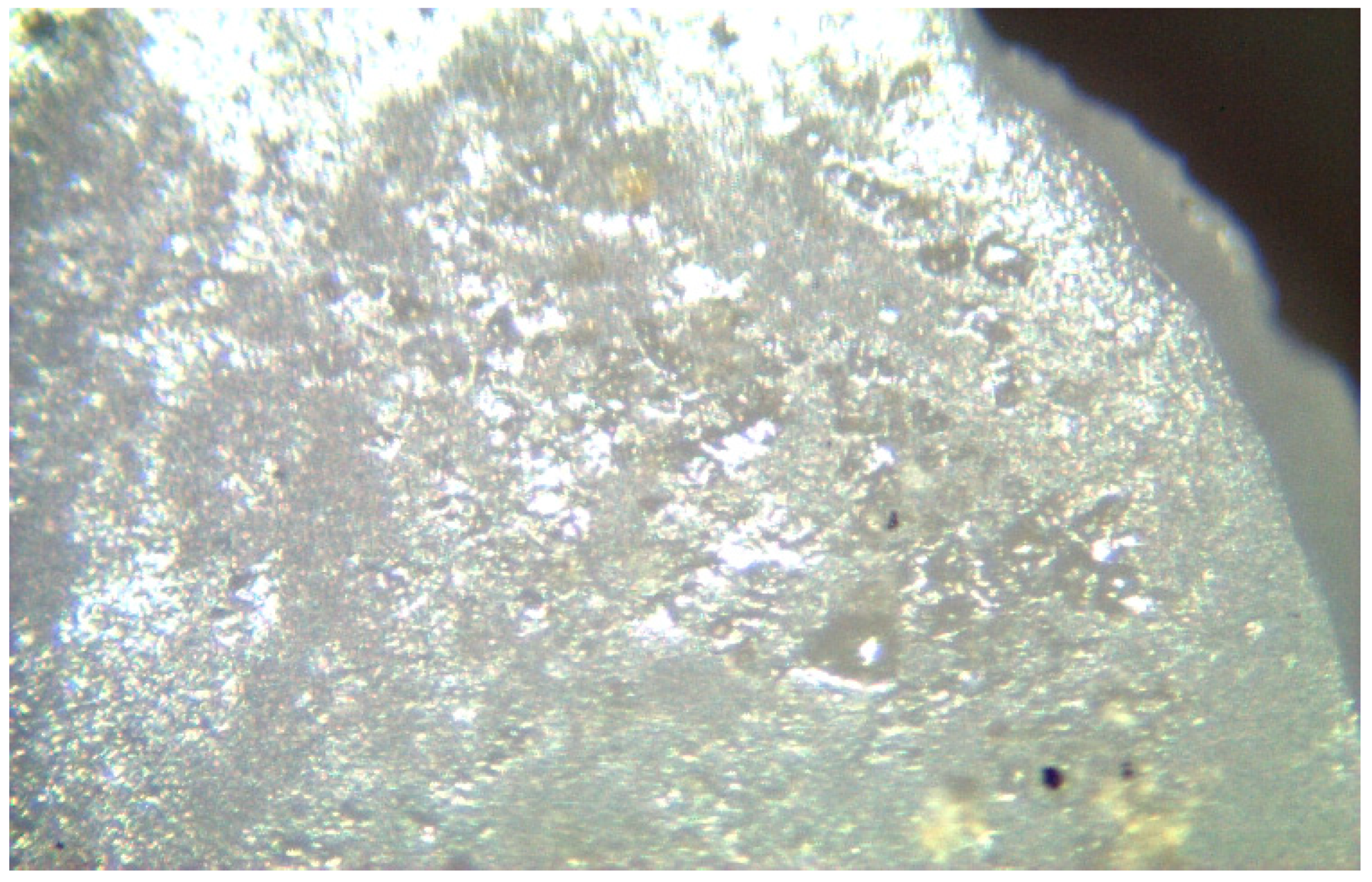 Materials 17 04719 g017