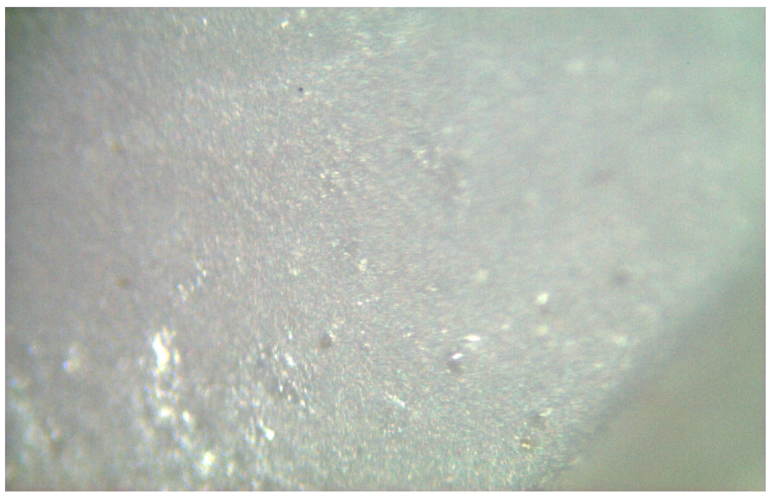 Materials 17 04719 g019