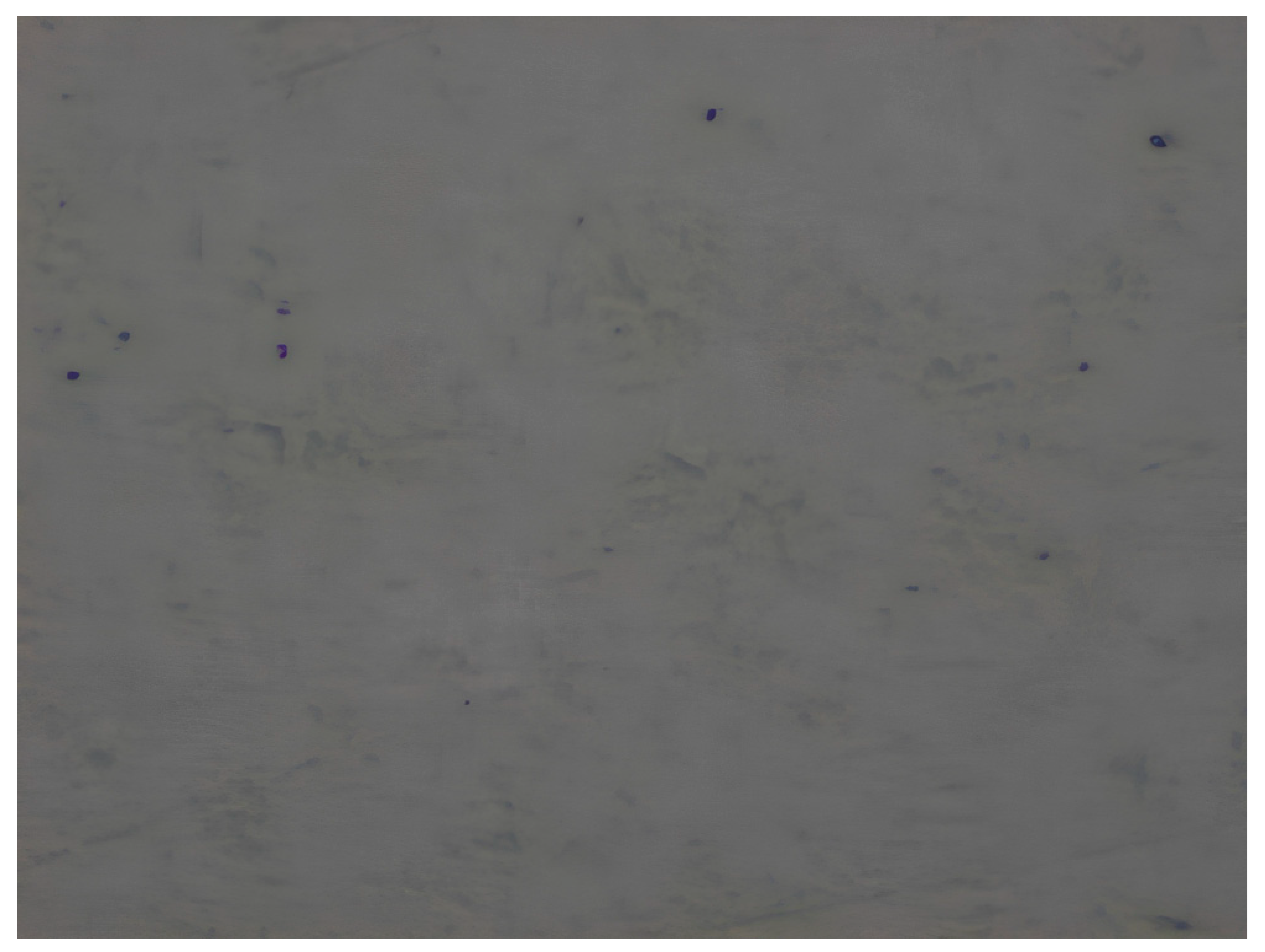 Materials 17 04728 i001