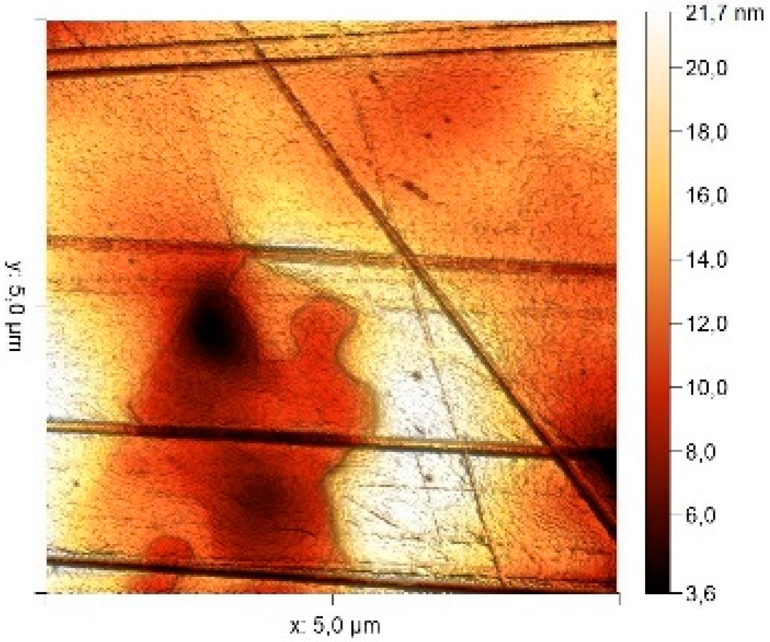 Materials 17 04728 i002