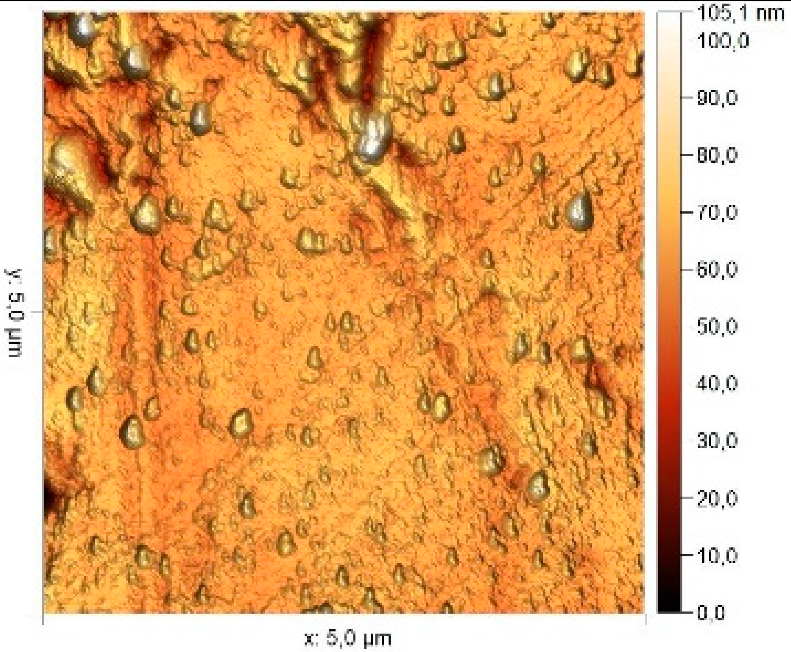 Materials 17 04728 i006