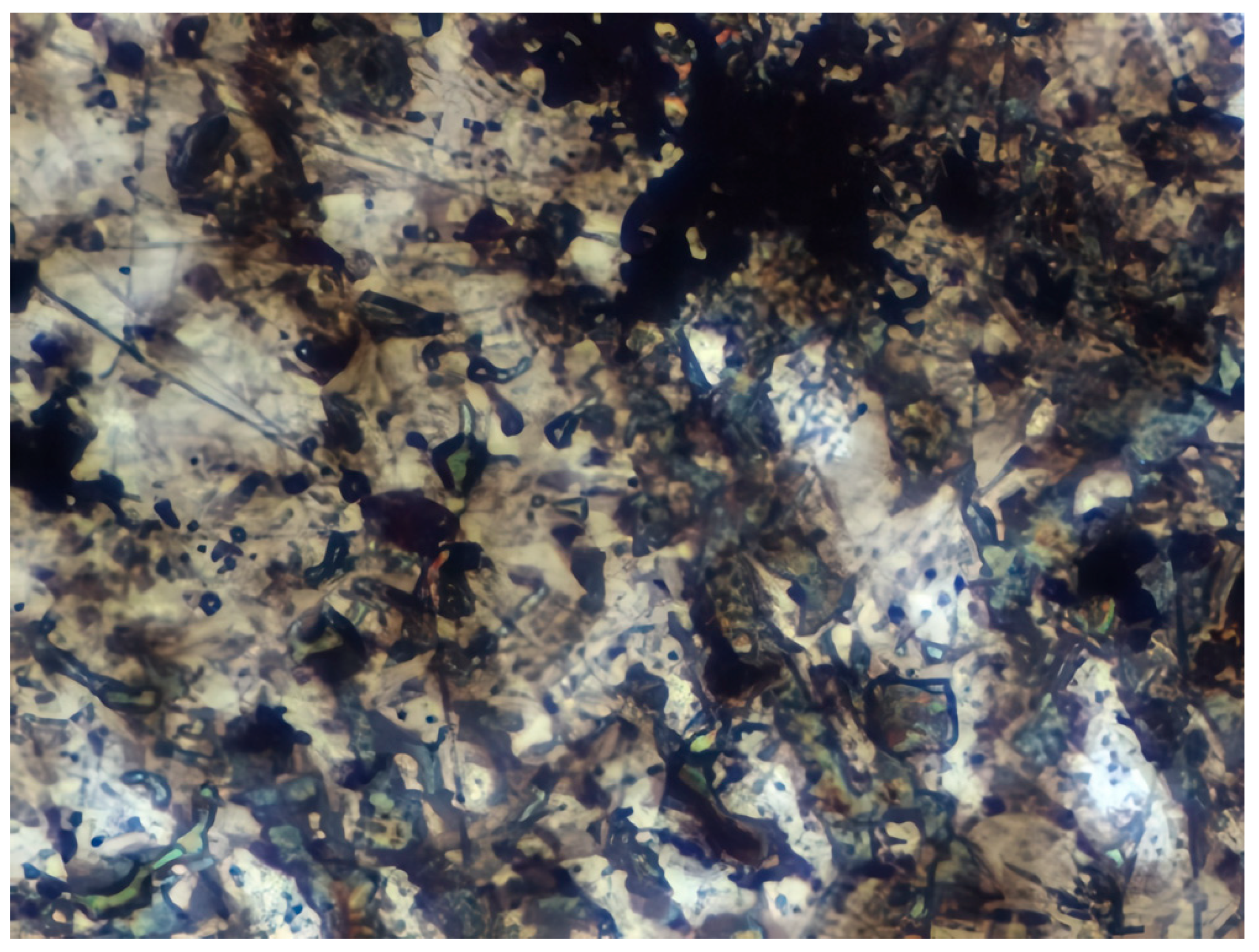 Materials 17 04728 i007