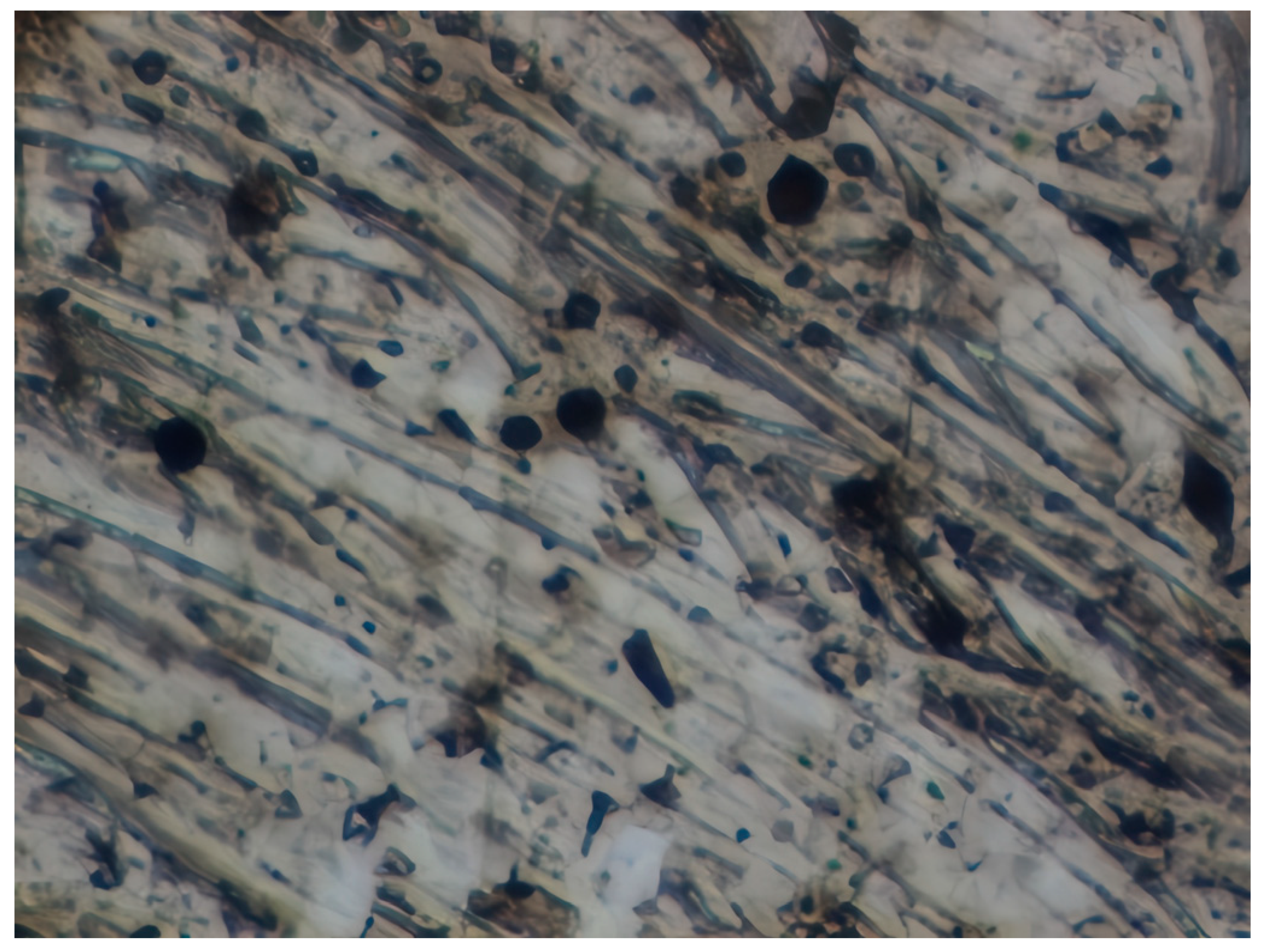 Materials 17 04728 i009