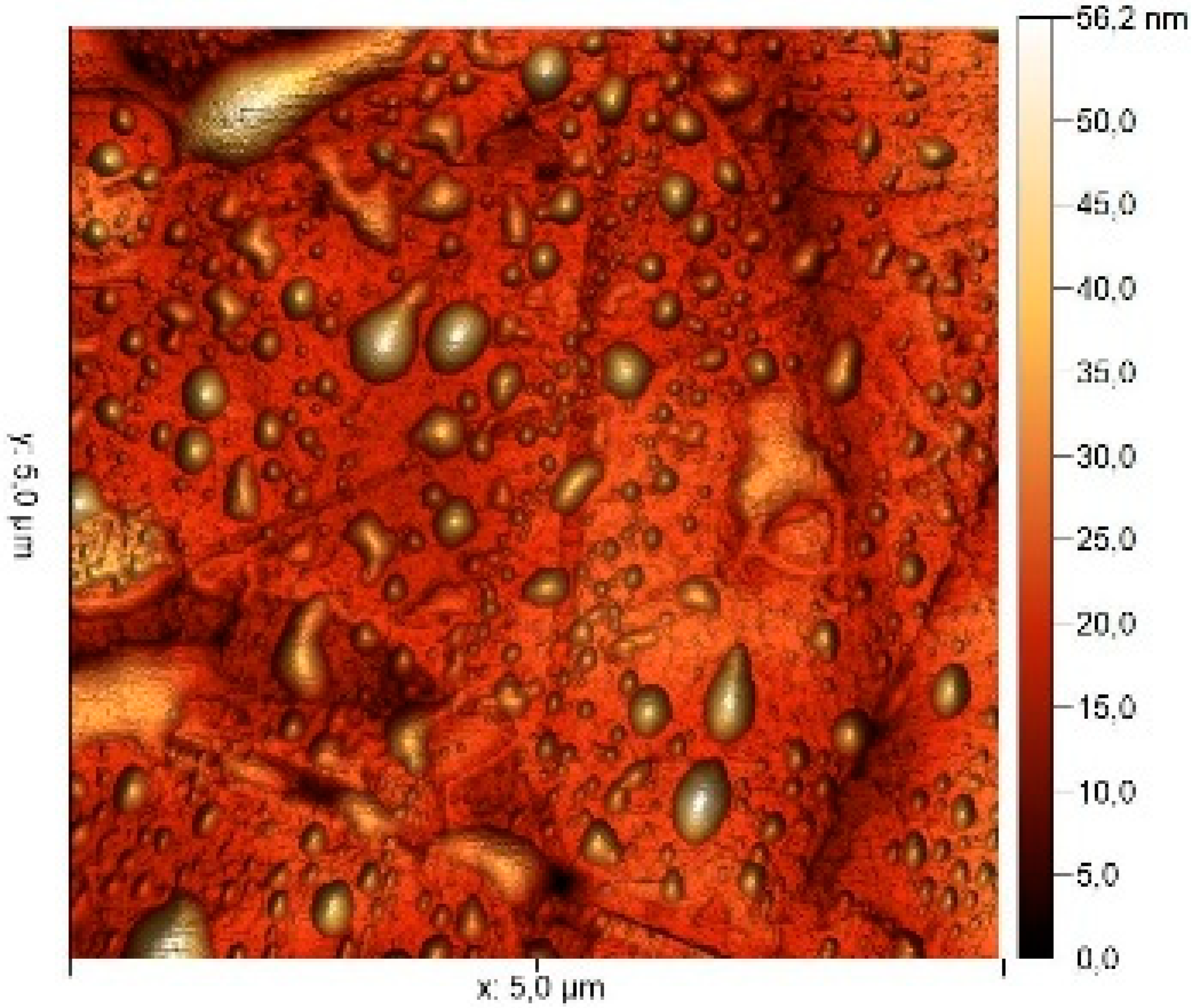 Materials 17 04728 i010