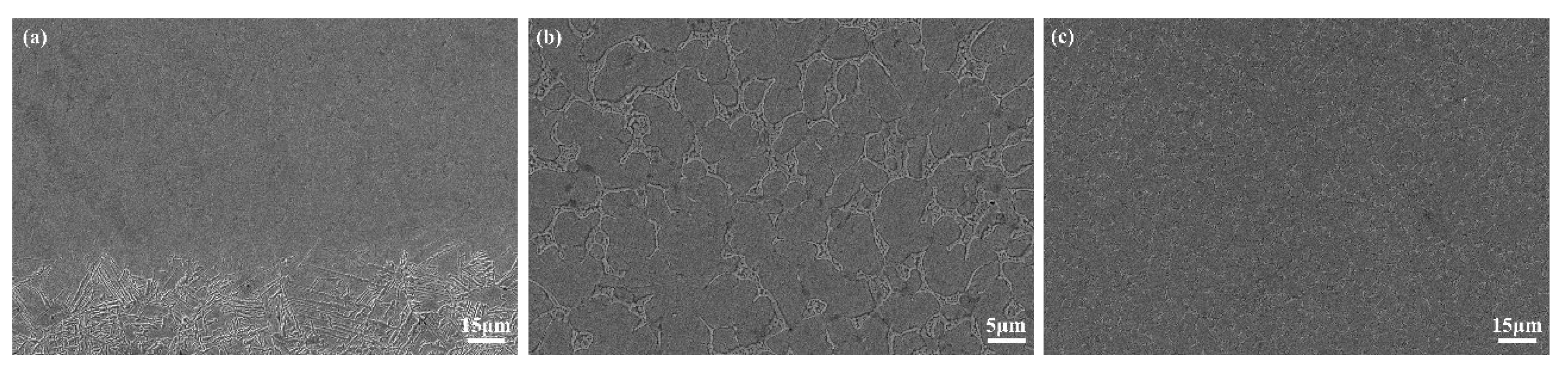 Materials 17 04758 g004