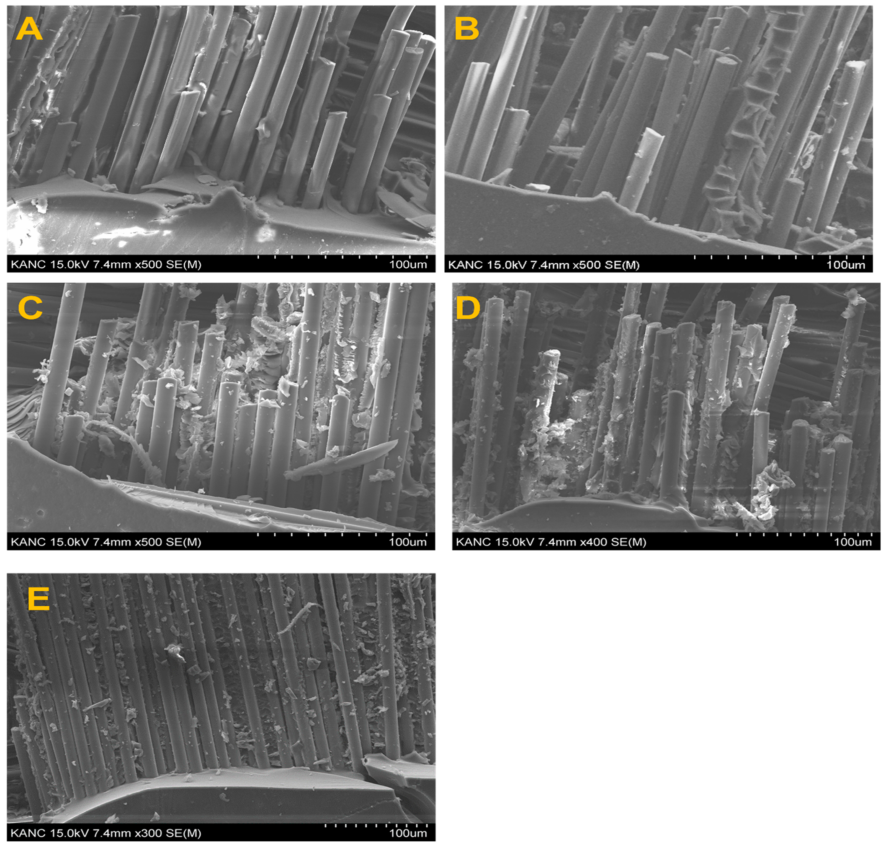 Materials 17 04760 g008