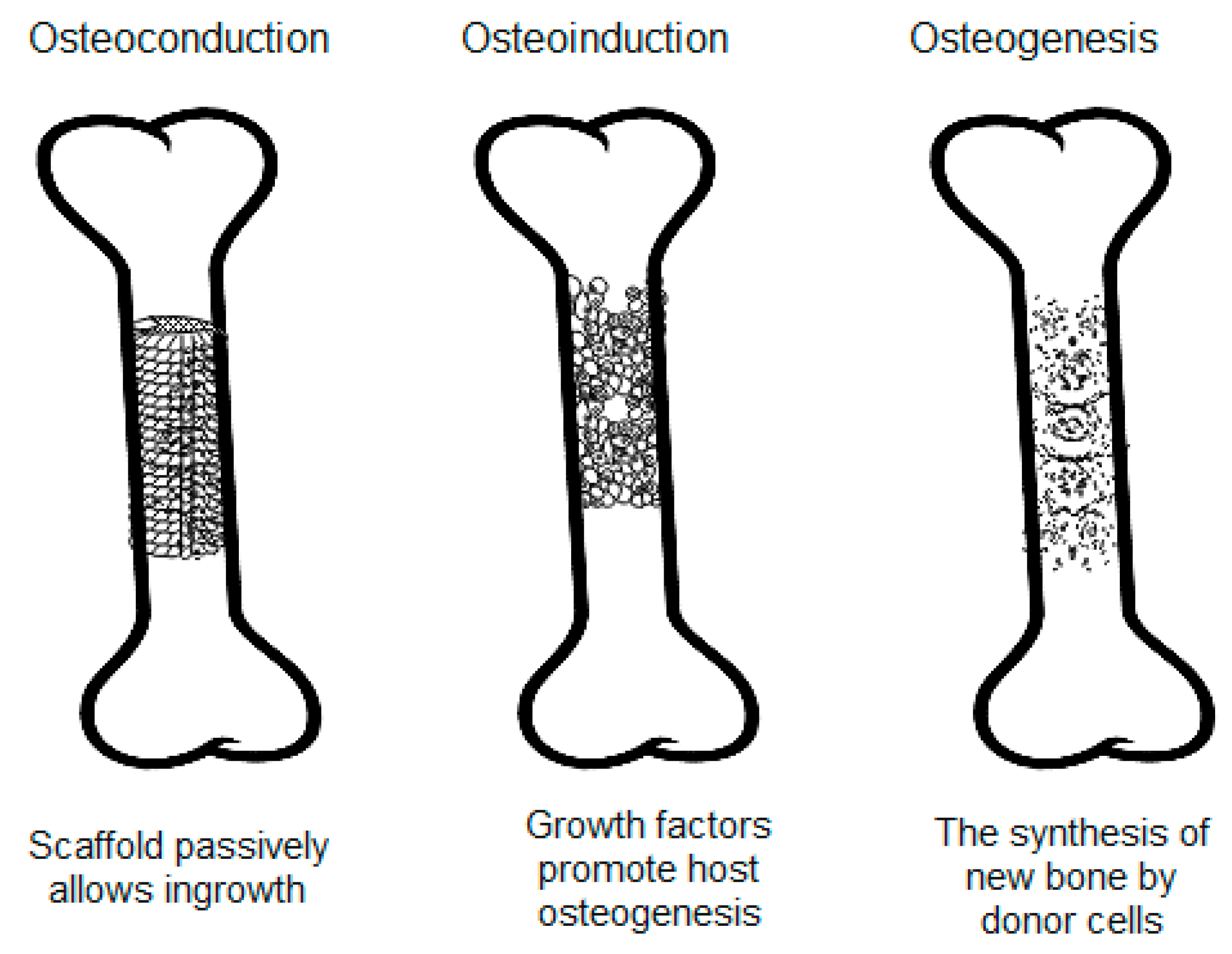Materials 17 04782 g001