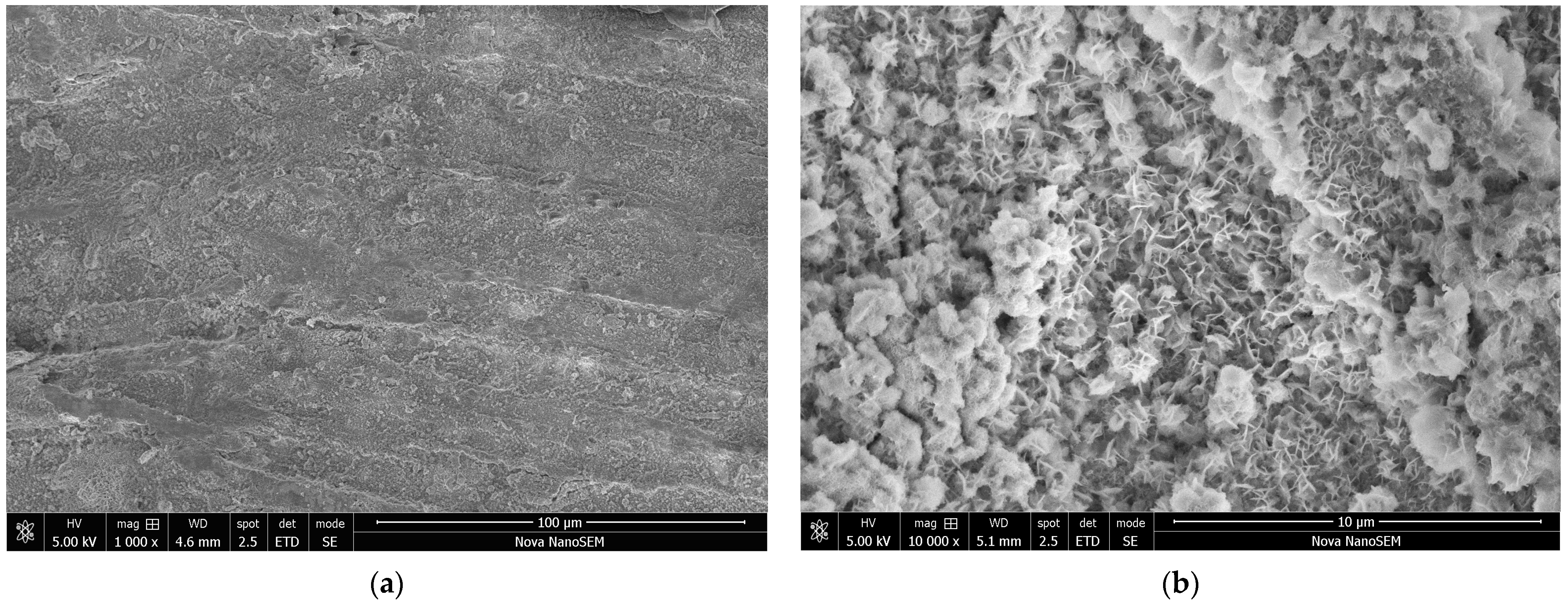Materials 17 04783 g013 Materials 17 04783 g013