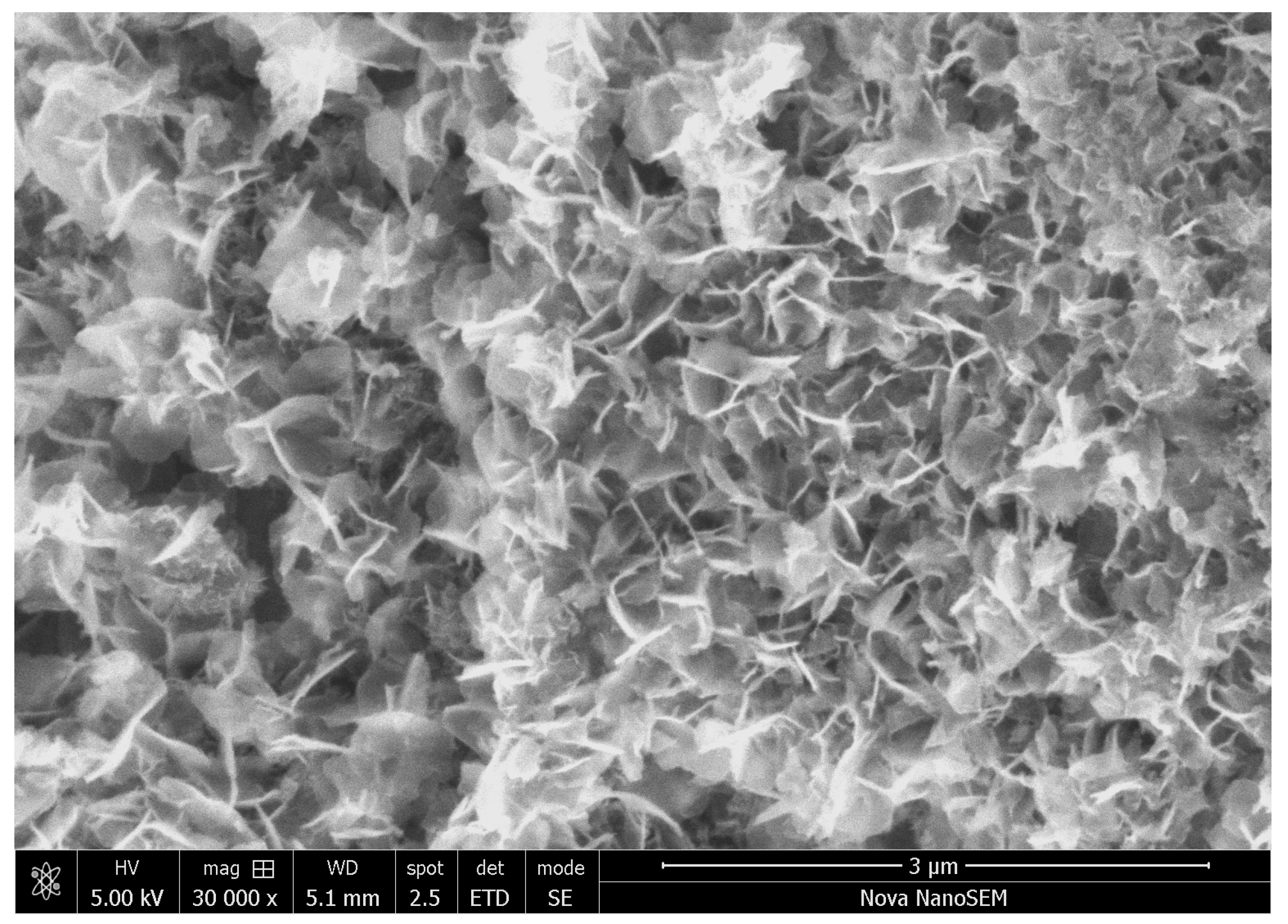 Materials 17 04783 g014 Materials 17 04783 g014