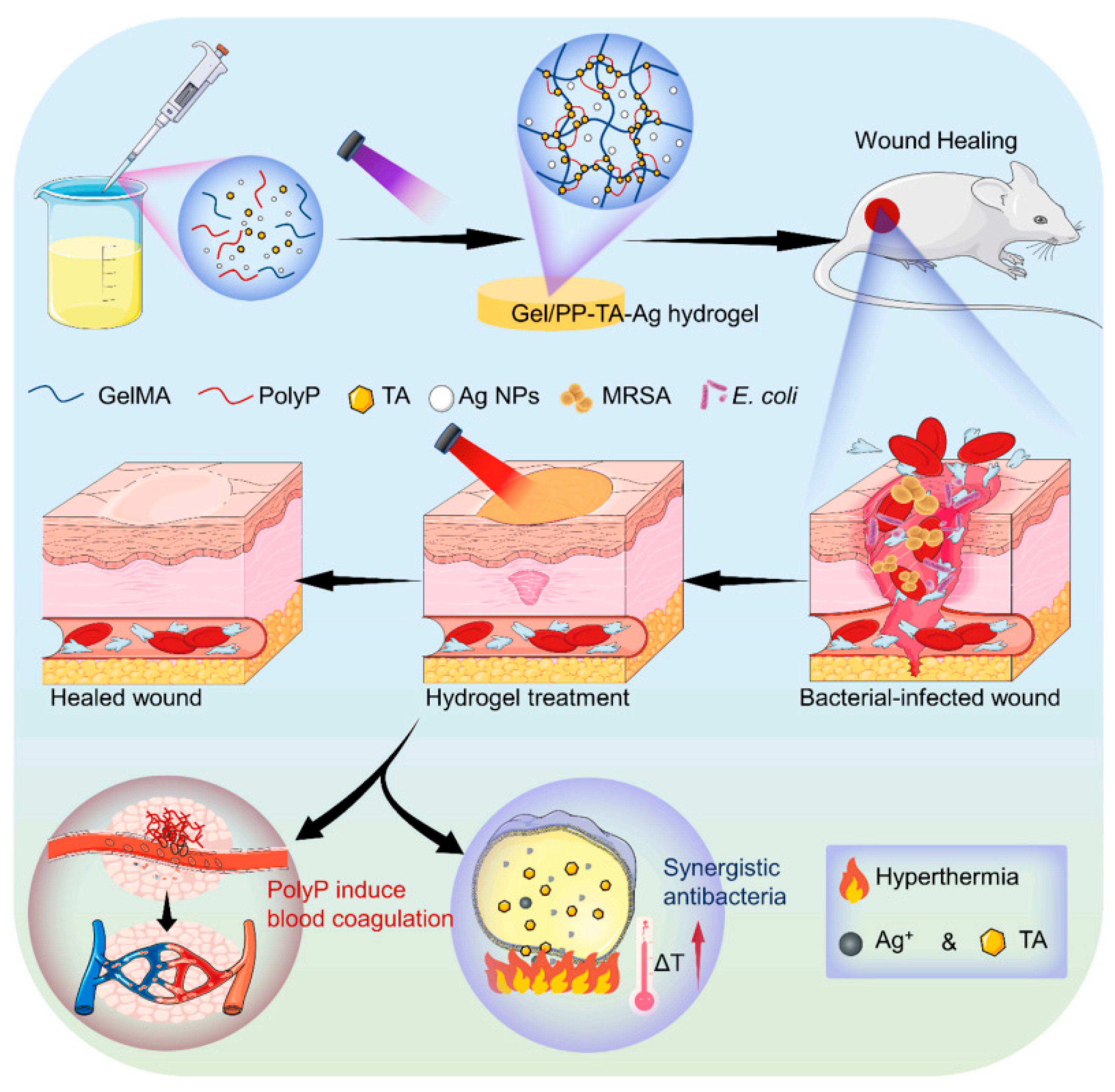 Materials 17 04792 g003