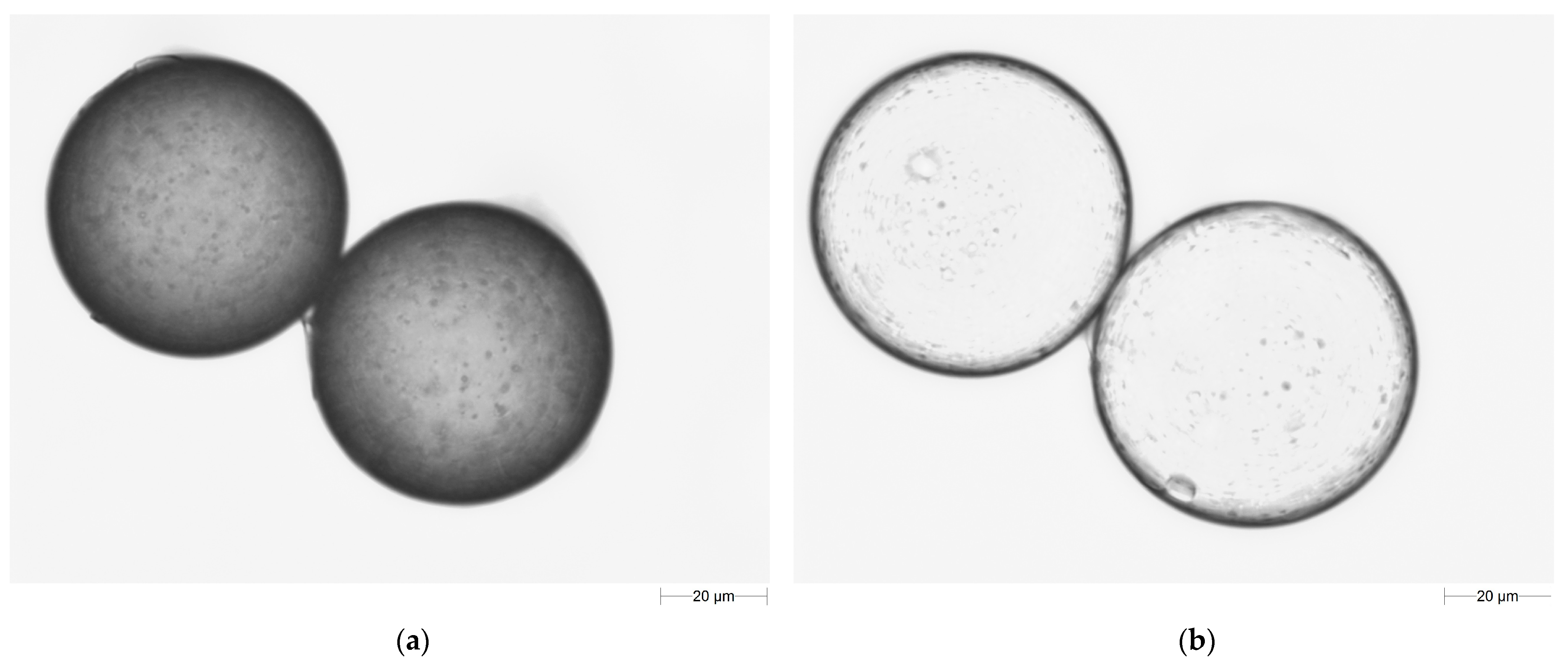 Materials 17 04796 g005