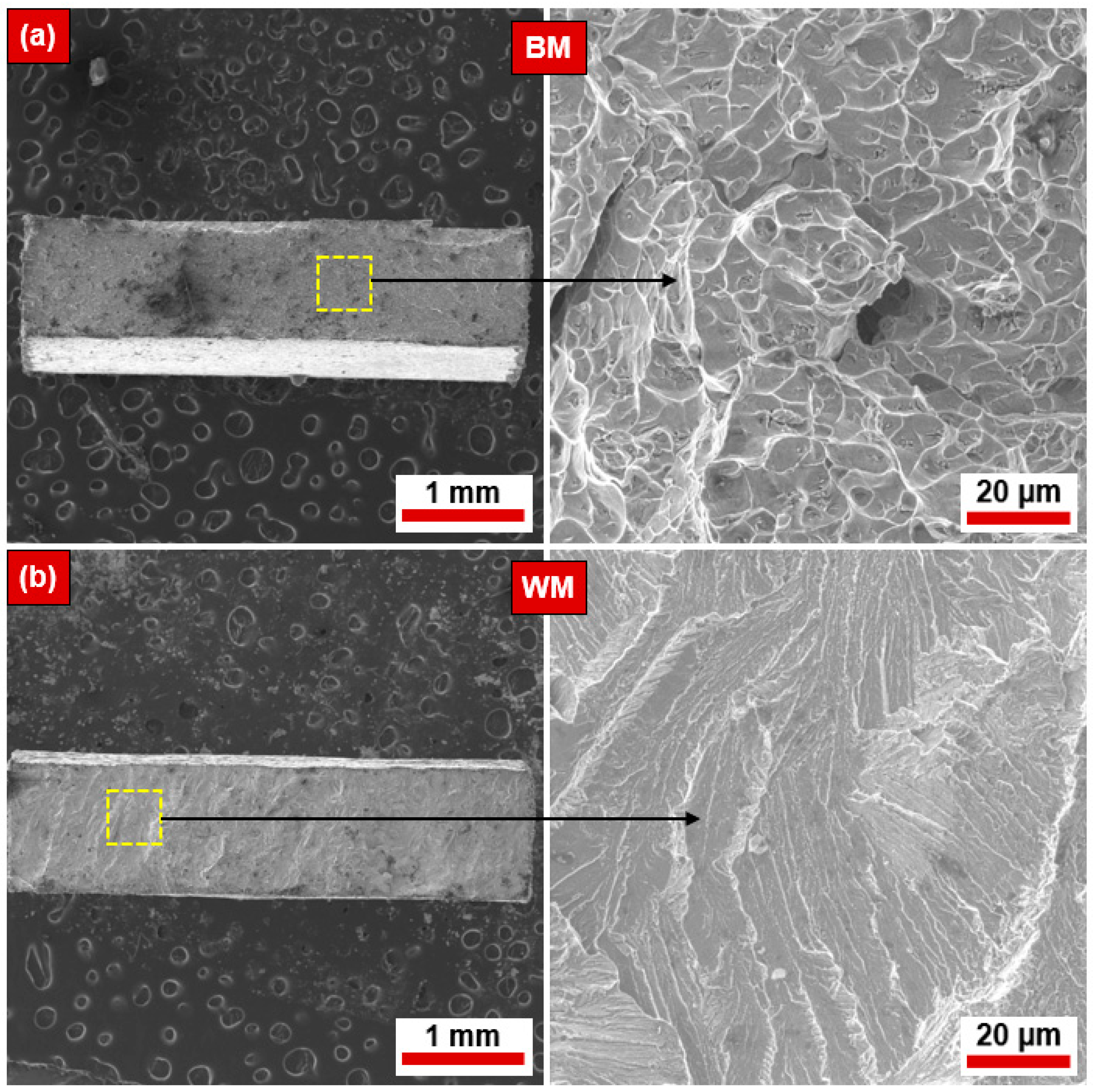 Materials 17 04801 g008 Materials 17 04801 g008