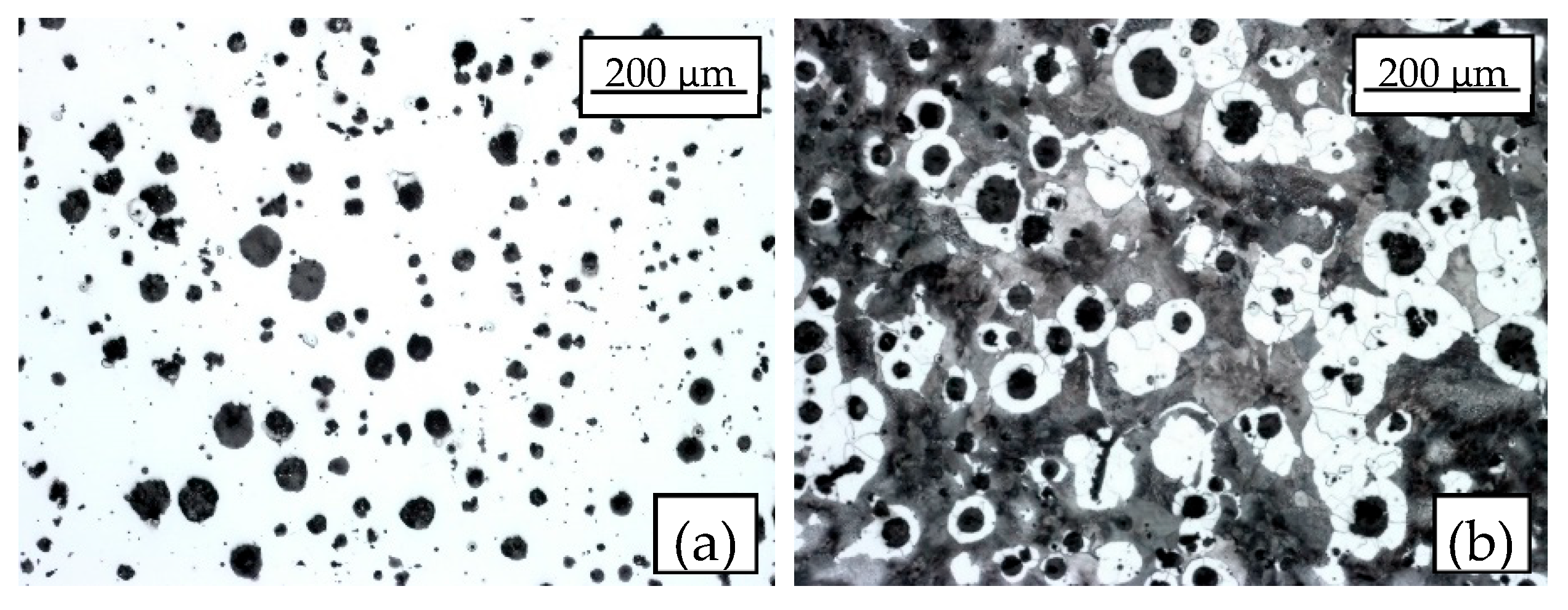 Materials 17 04807 g004 Materials 17 04807 g004