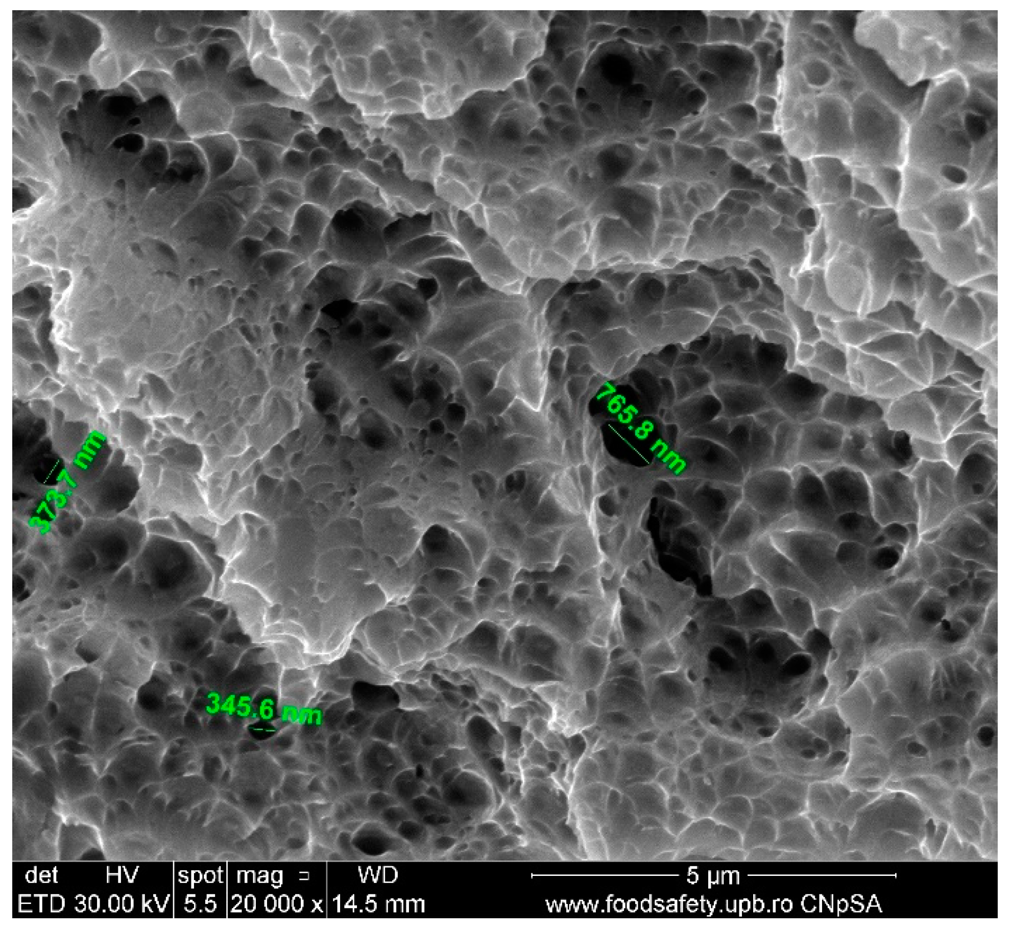 Materials 17 04808 g006