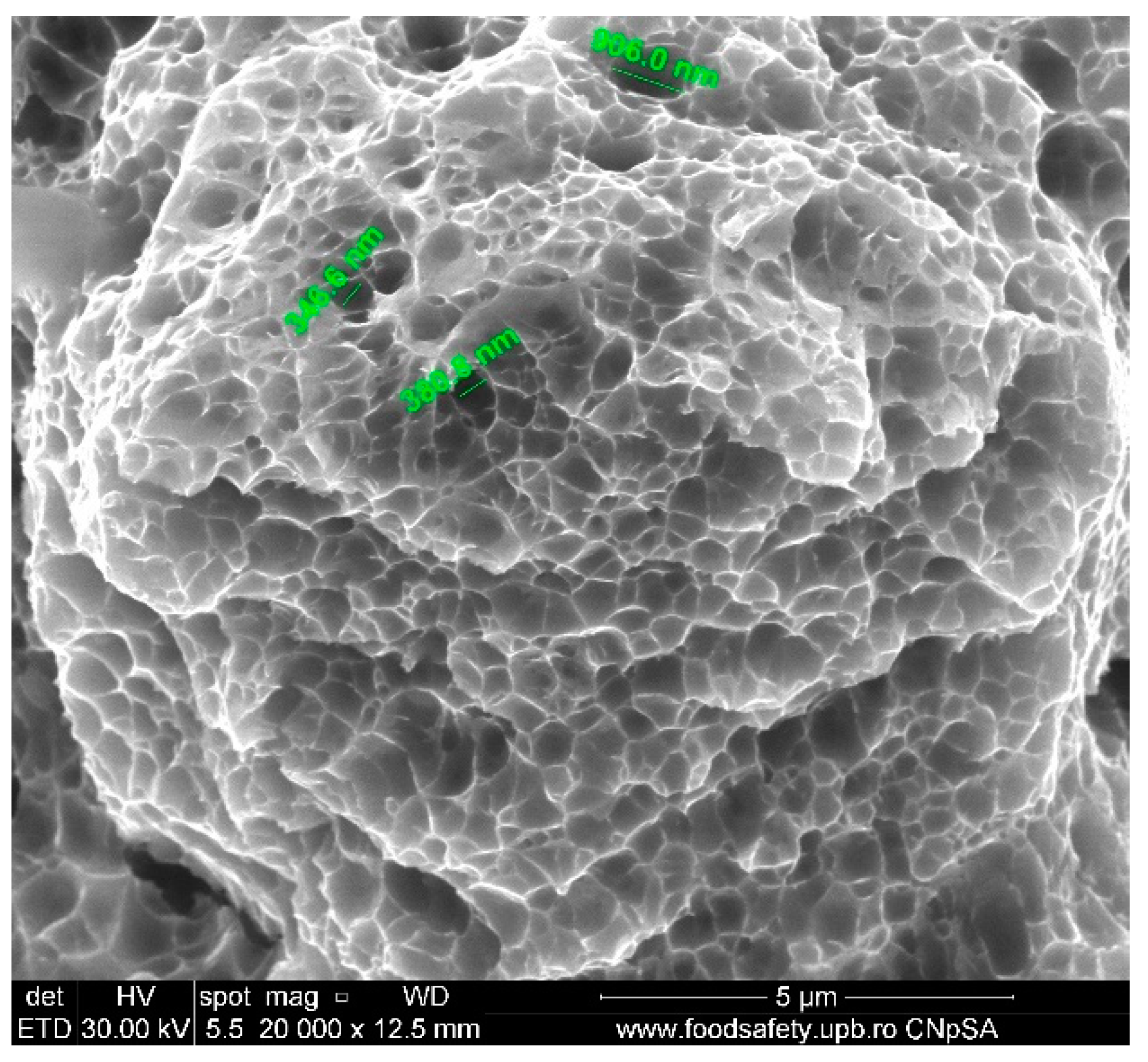 Materials 17 04808 g008