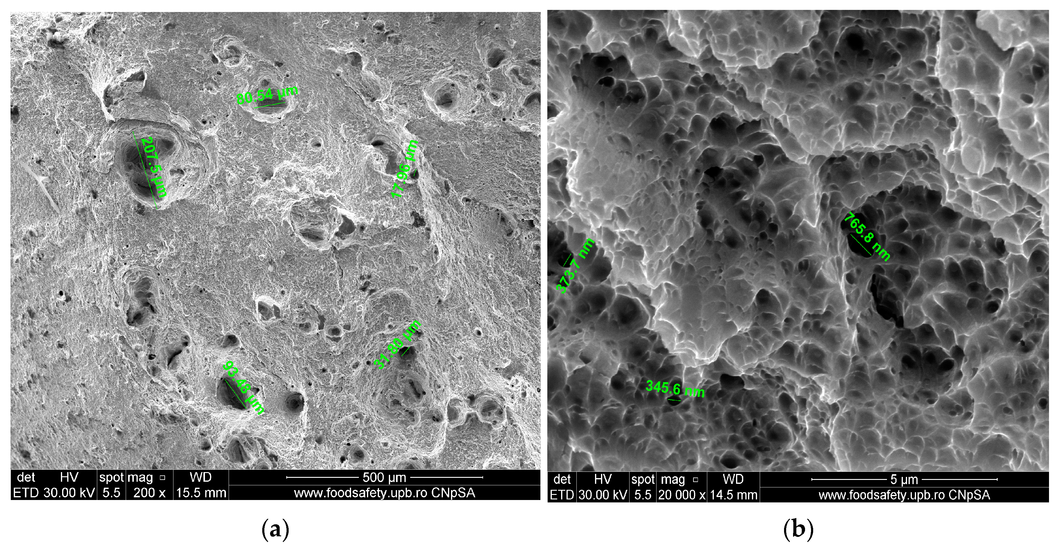 Materials 17 04808 g011