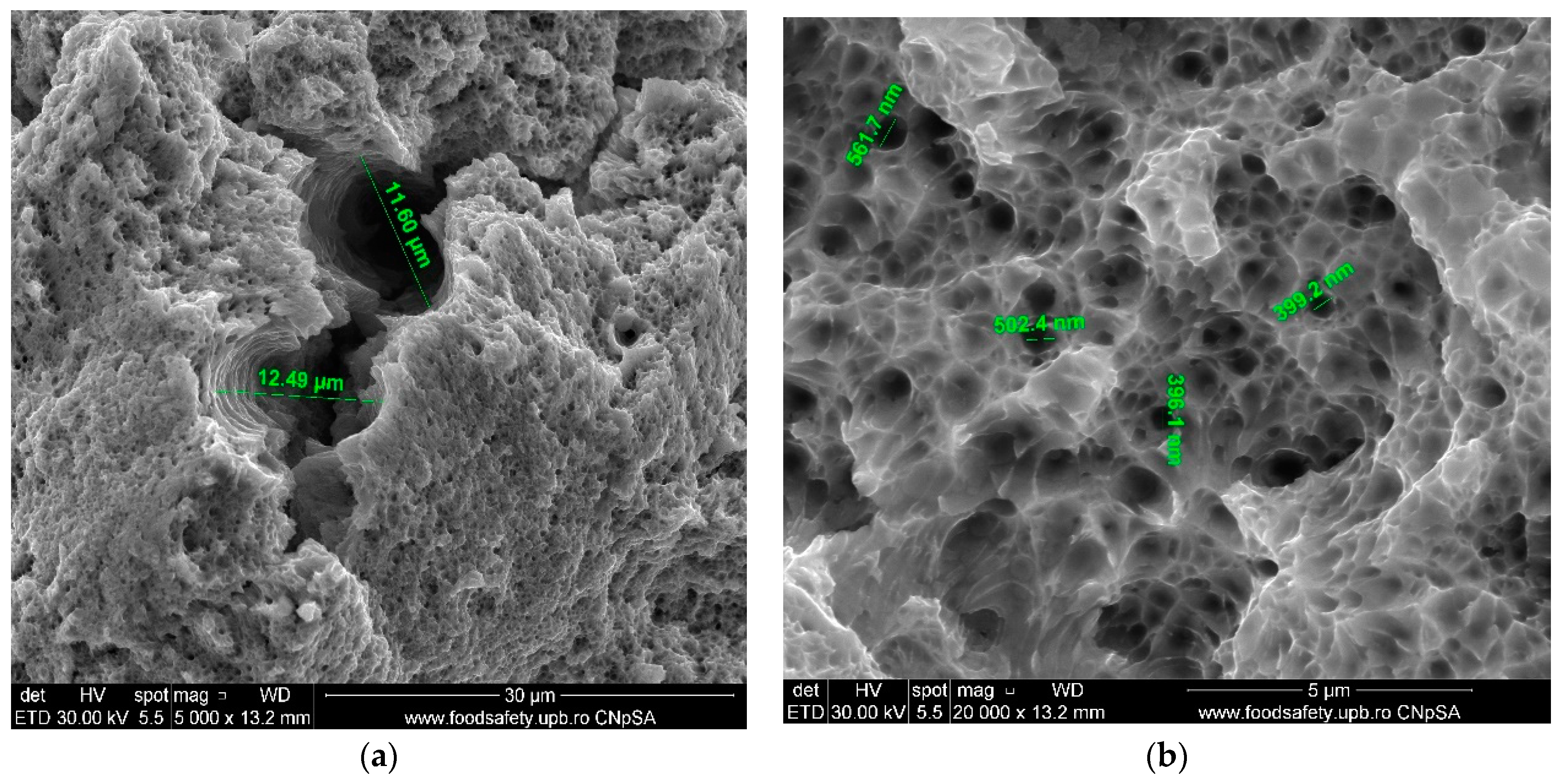 Materials 17 04808 g013