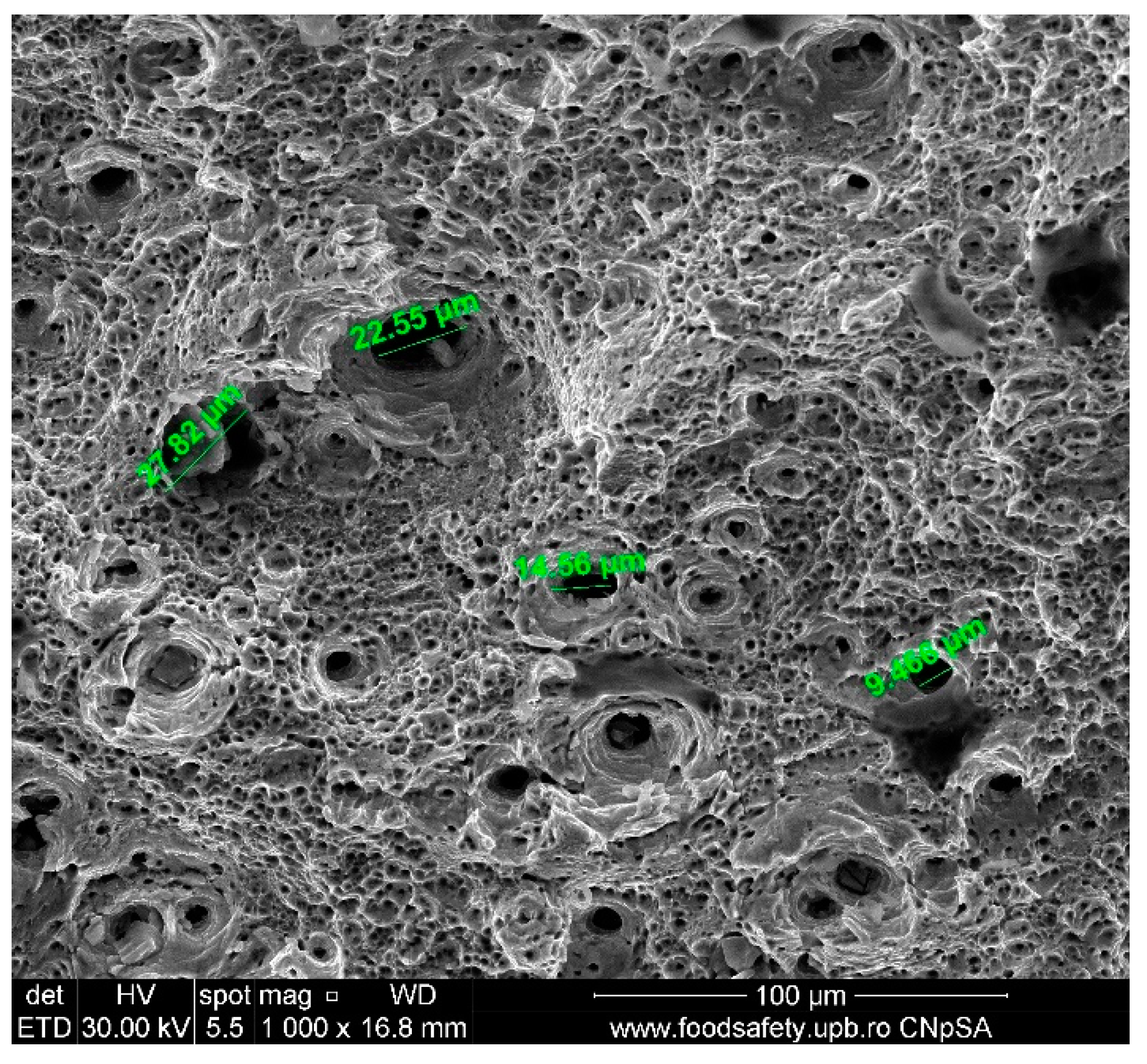 Materials 17 04808 g015