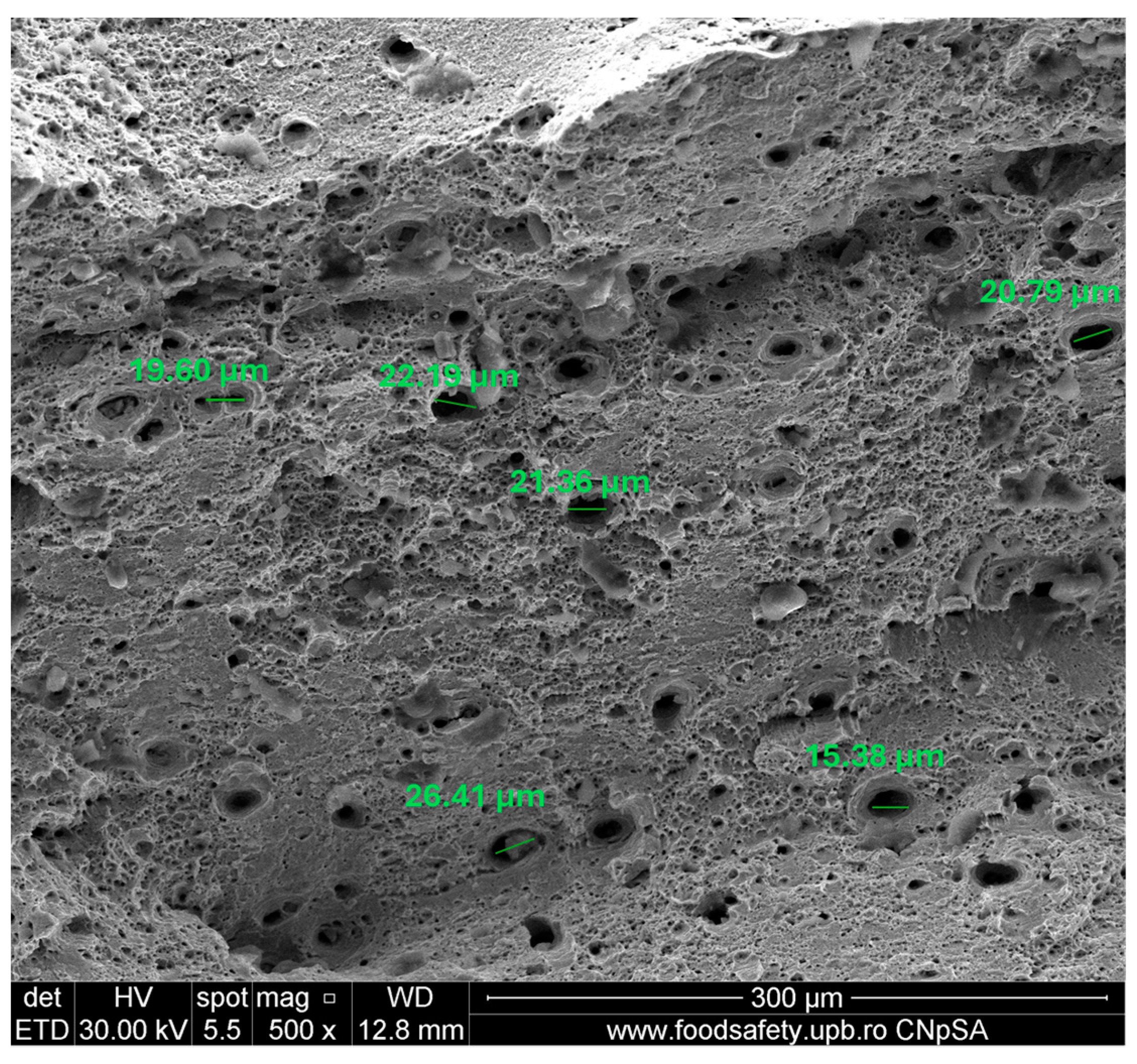 Materials 17 04808 g019