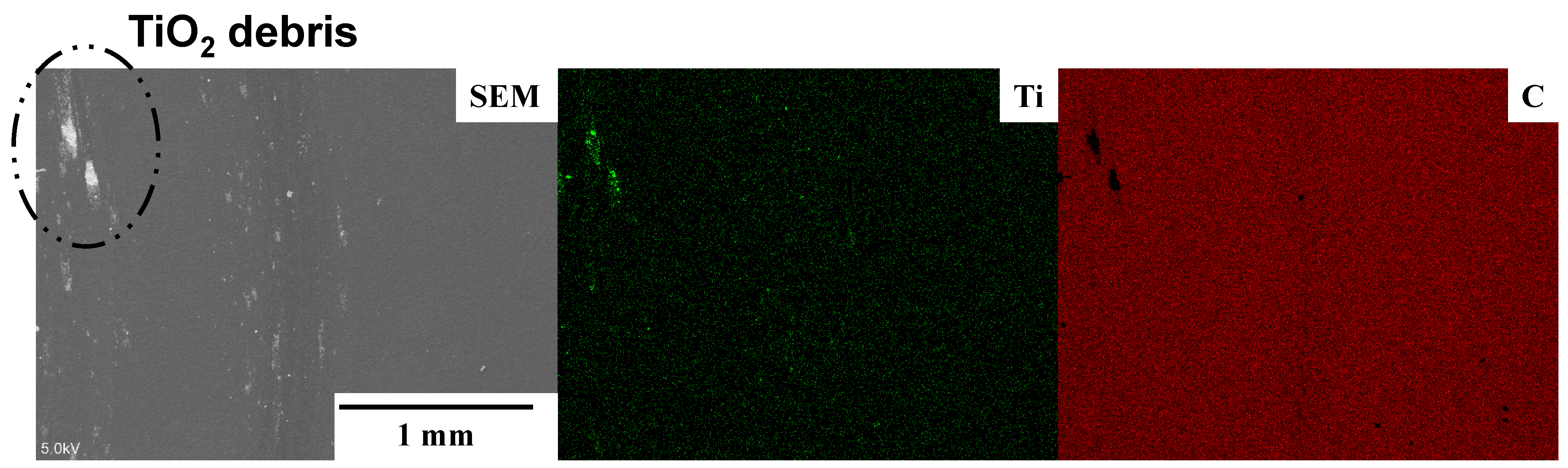 Materials 17 04849 g005