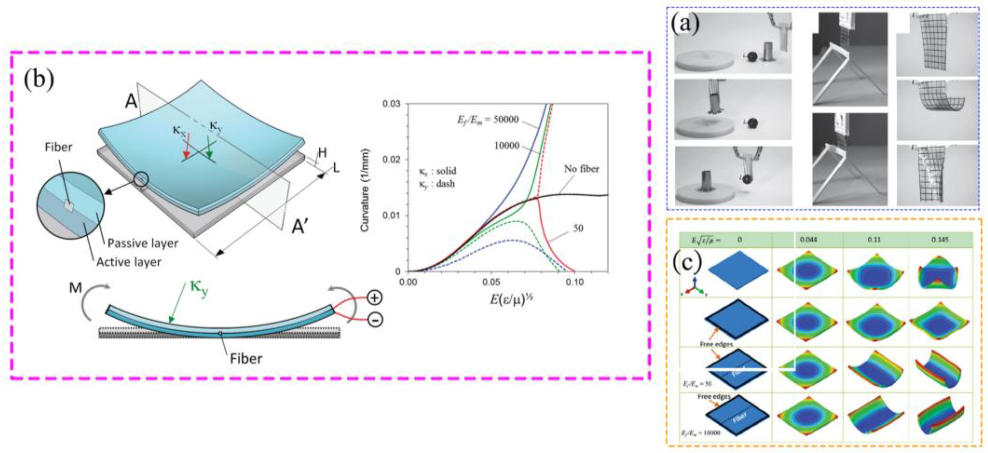 Materials 17 04858 g005