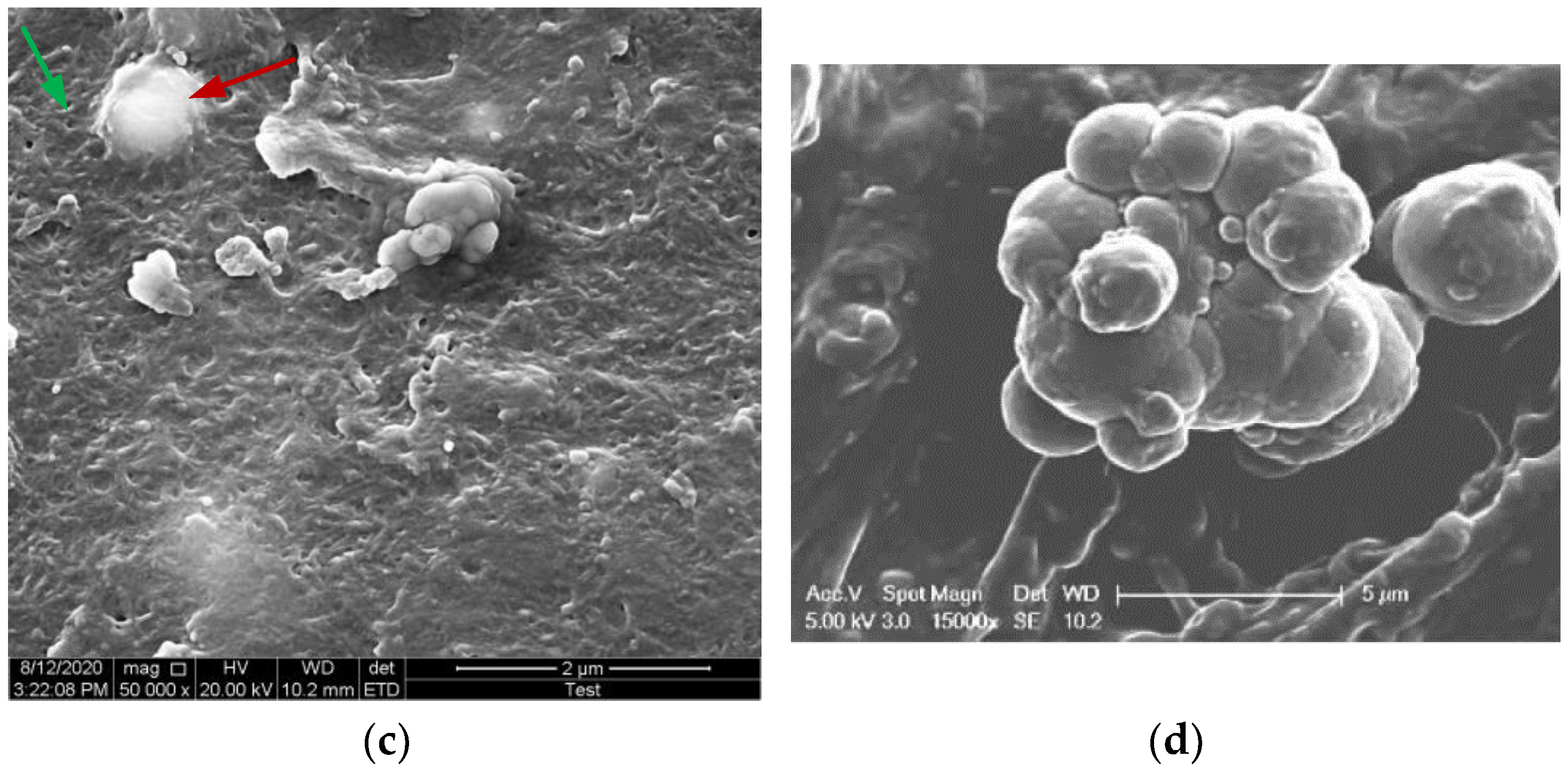 Materials 17 04858 g007b