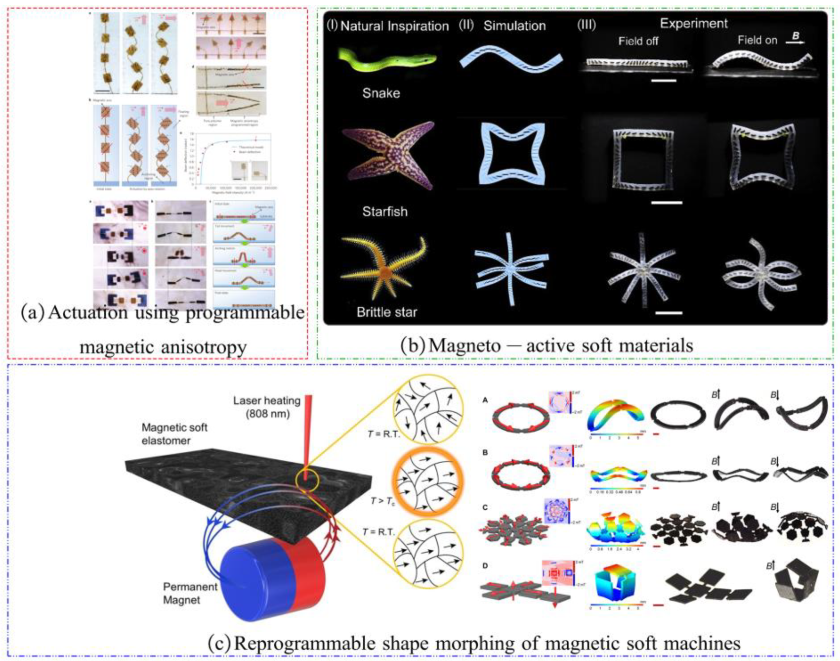 Materials 17 04858 g014