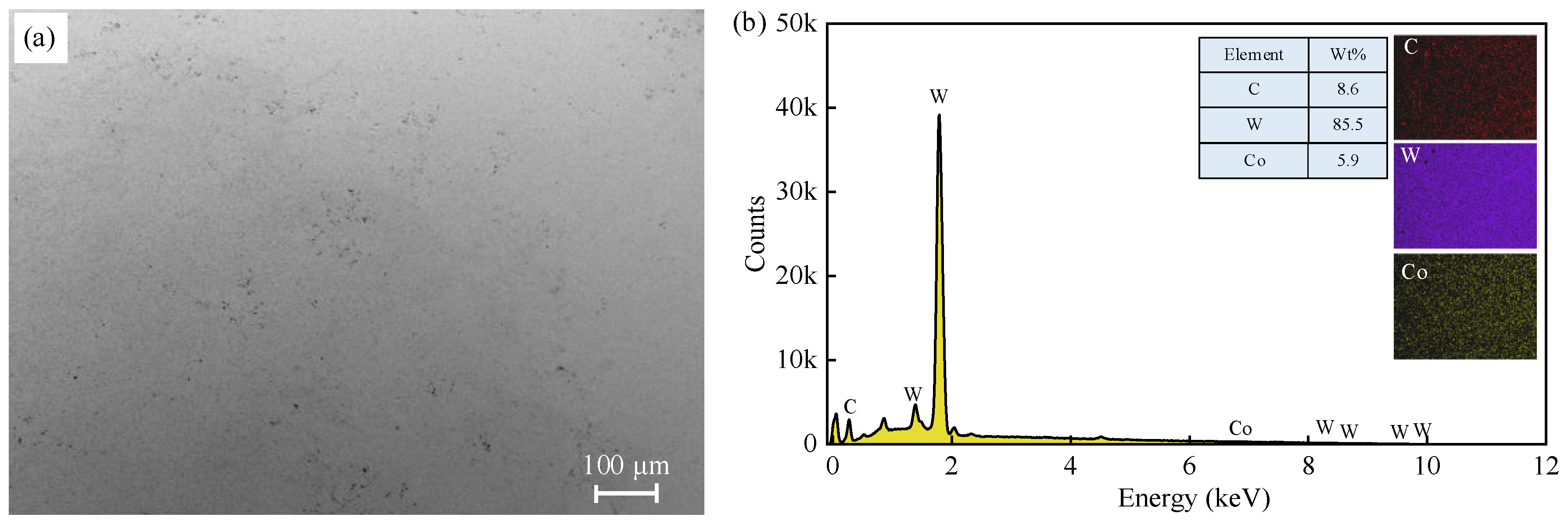 Materials 17 04867 g005