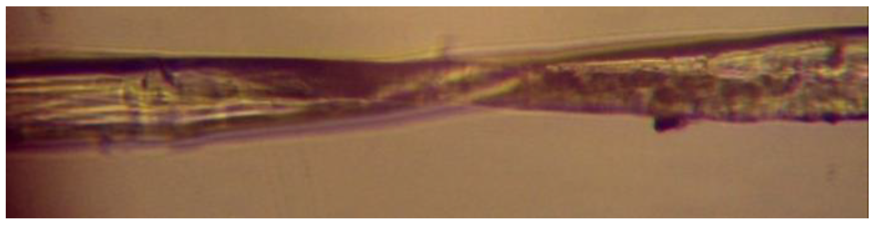 Materials 17 04871 g002